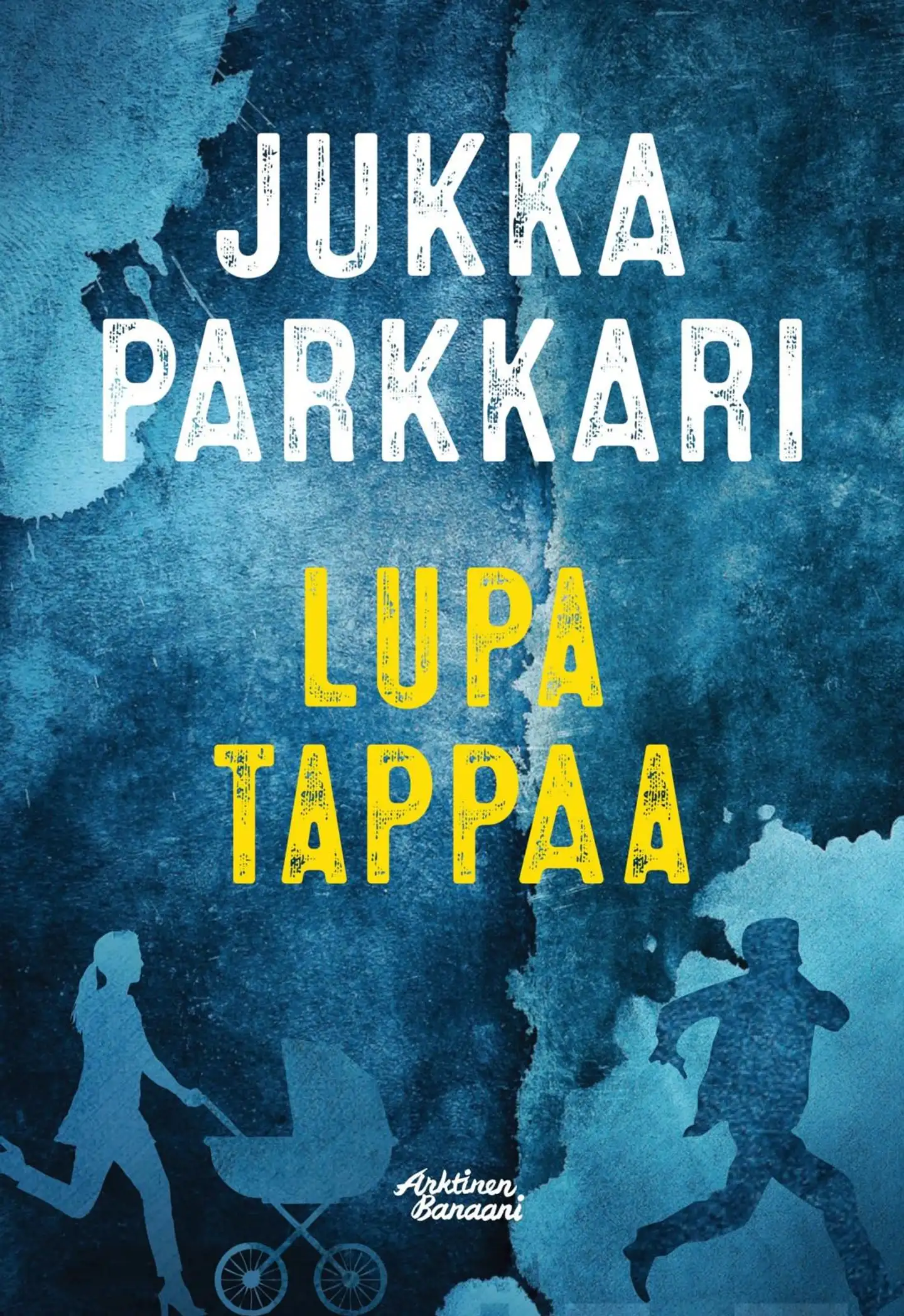 Parkkari, Lupa tappaa - Romaani vakoilusta ja vastavakoilusta Suomessa vuonna 2005