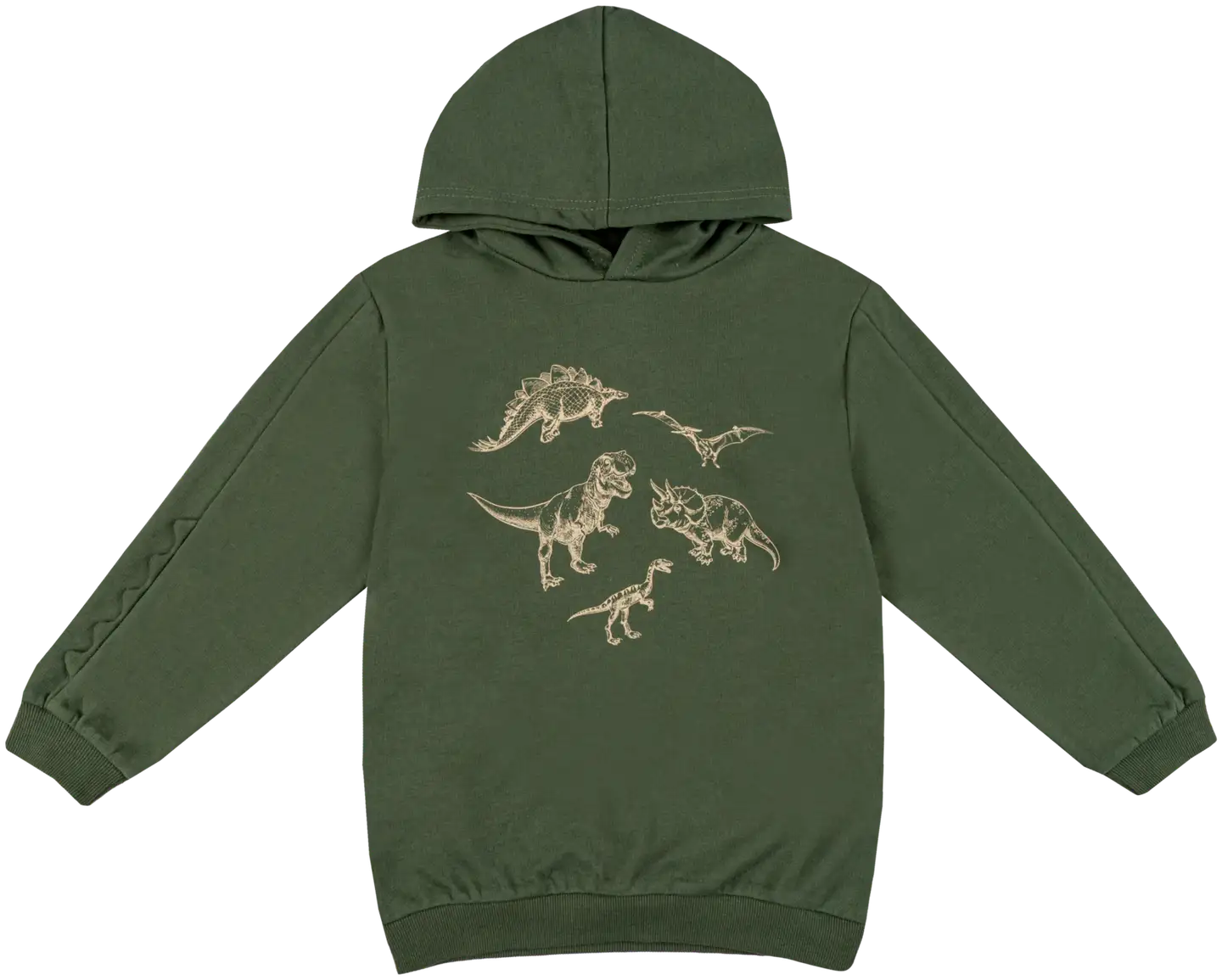 Ciraf lasten collegehuppari dino 25PC254007 - 18-0317tcx bronze green - 1