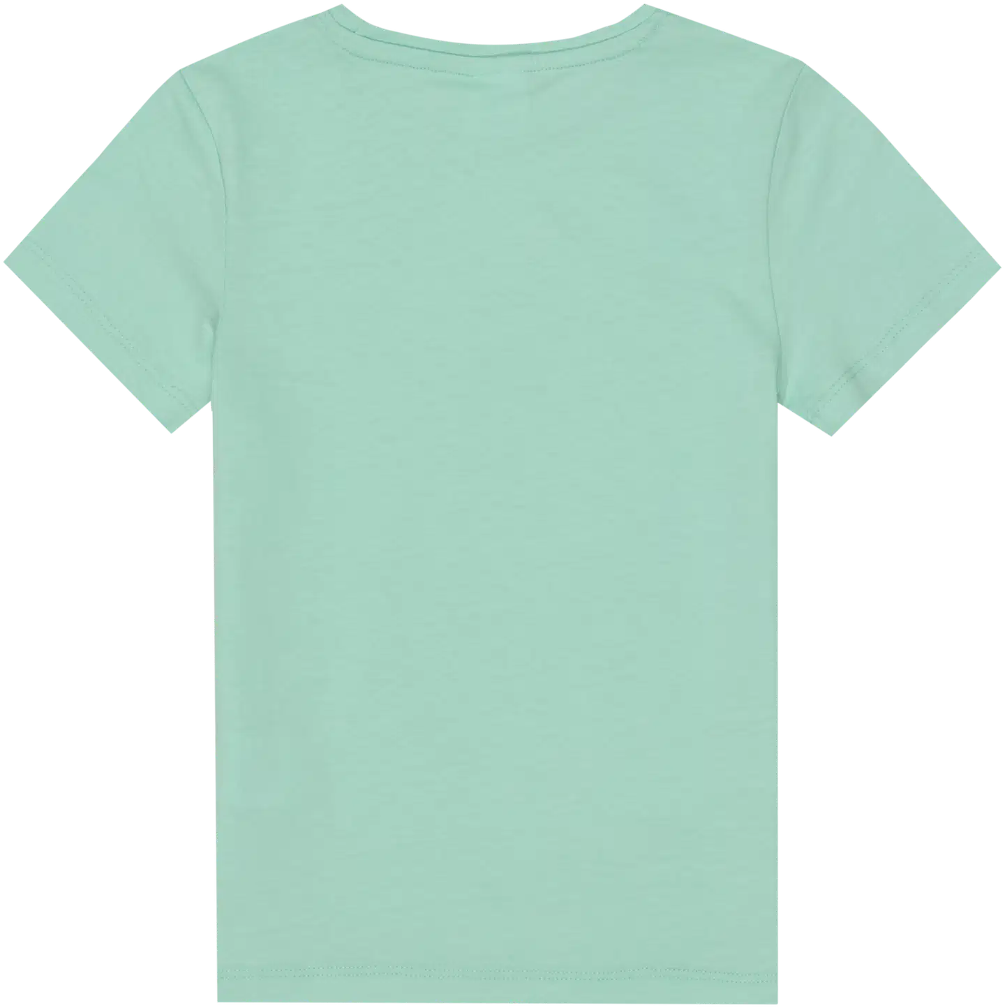 Ciraf lasten t-paita 25TC261601 - cabbage 13-5714 Tcx - 2