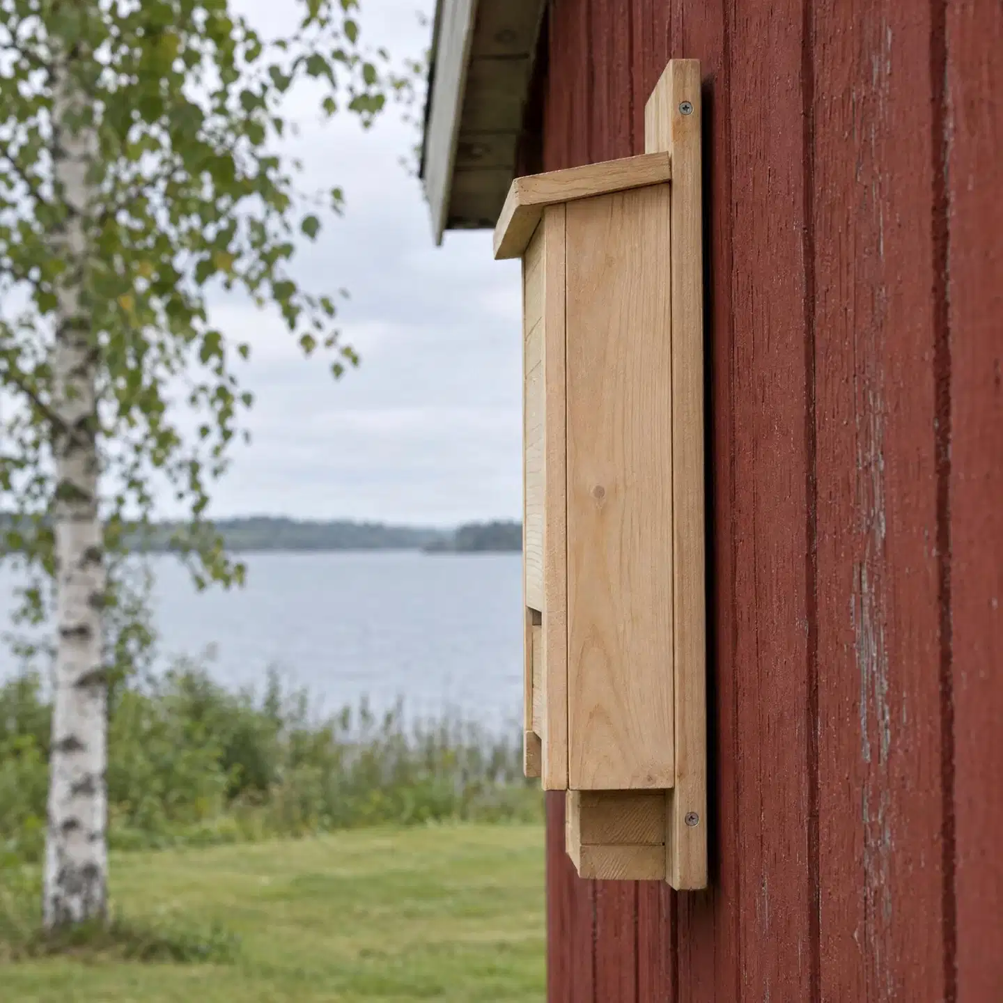 WildYard Big Bat Box lepakkopönttö, 1 kammio, setripuu, luonnonvärinen - 4