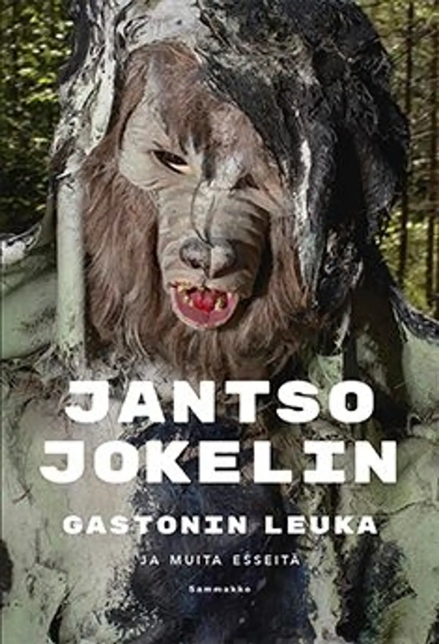Jokelin, Gastonin leuka - ja muita esseitä