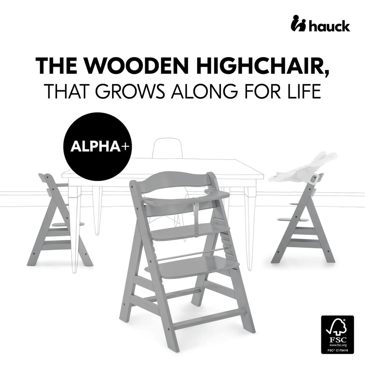 Hauck syöttötuoli Alpha+b harmaa - 14