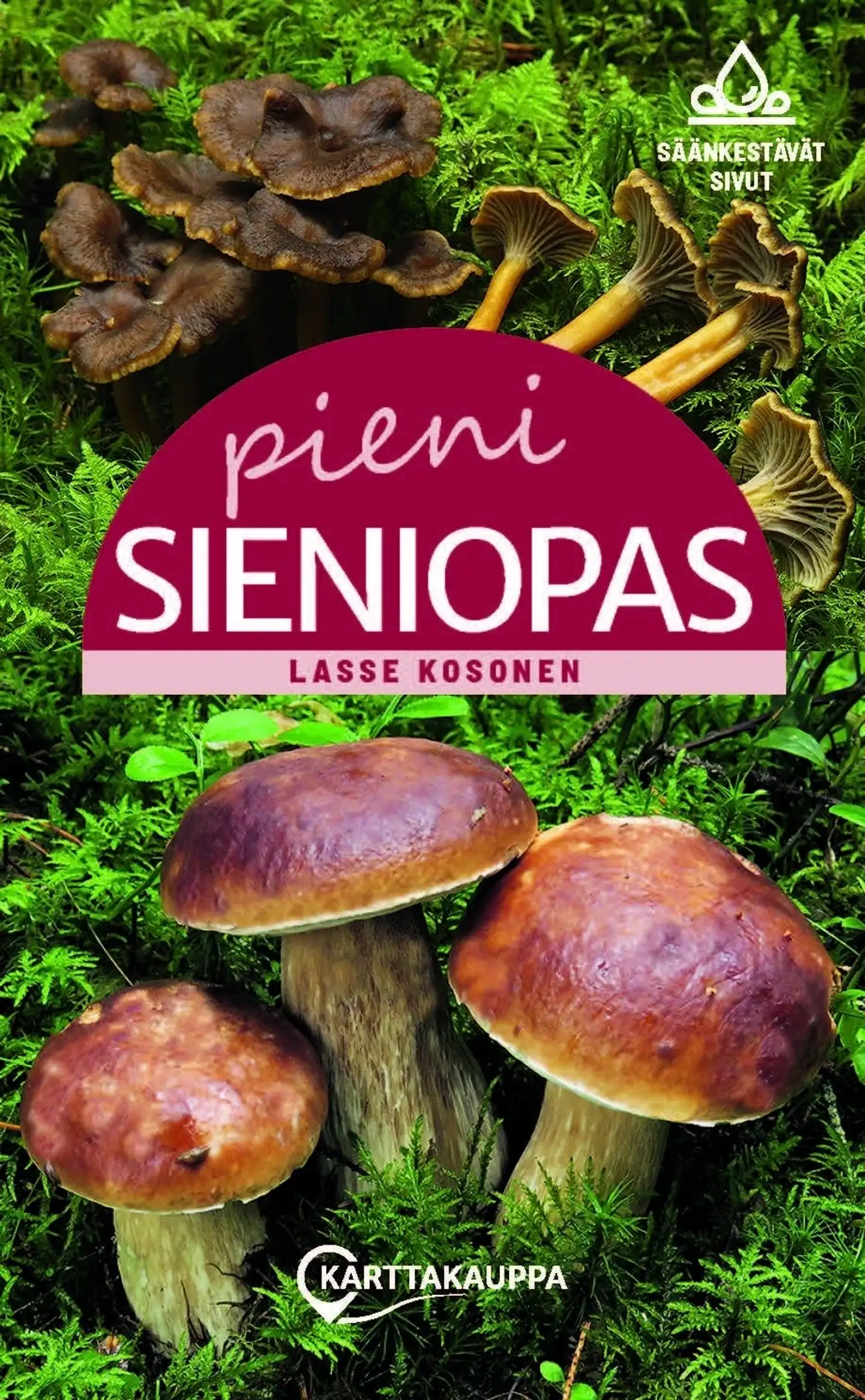 Kosonen, Pieni sieniopas