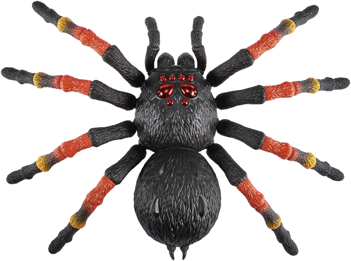 Giant Tarantula S1 - 3