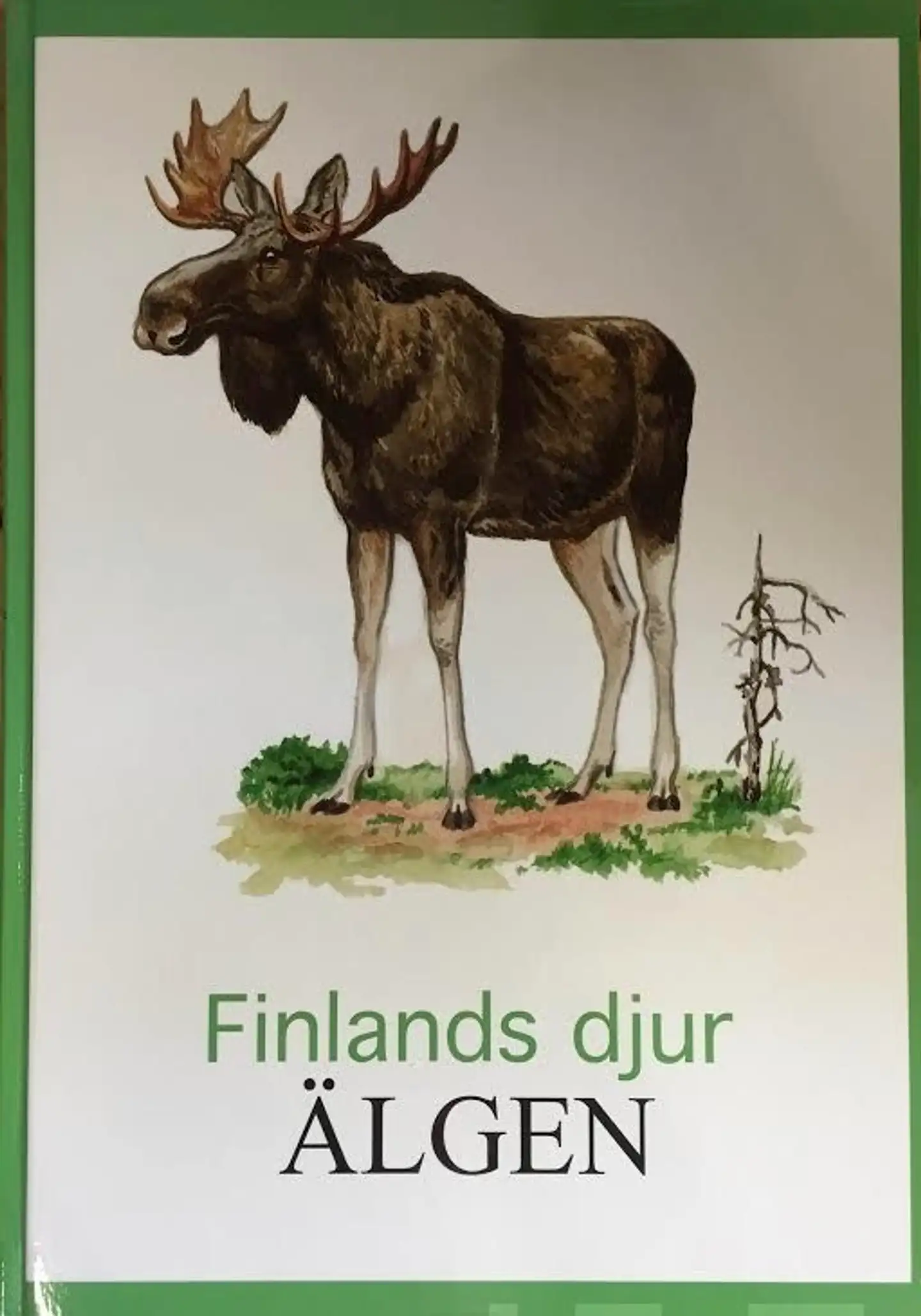 Älgen
