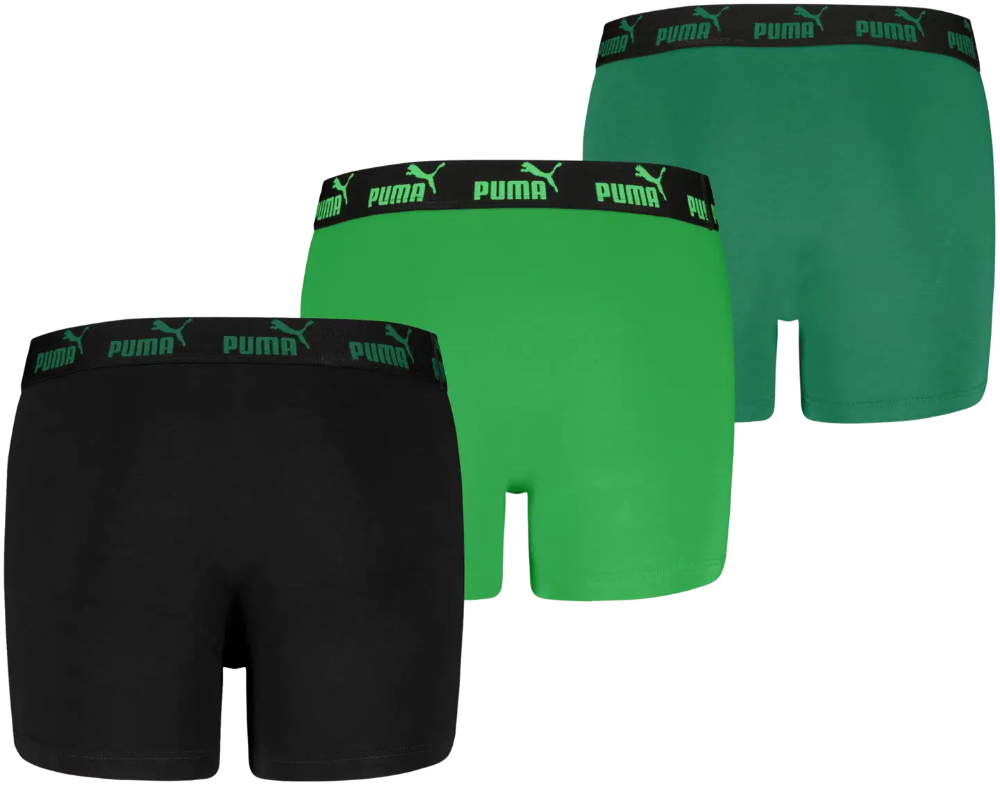 PUMA lasten bokserit 3 kpl Elements musta/vihreä/vihreä 701230429 - Black / Green - 1
