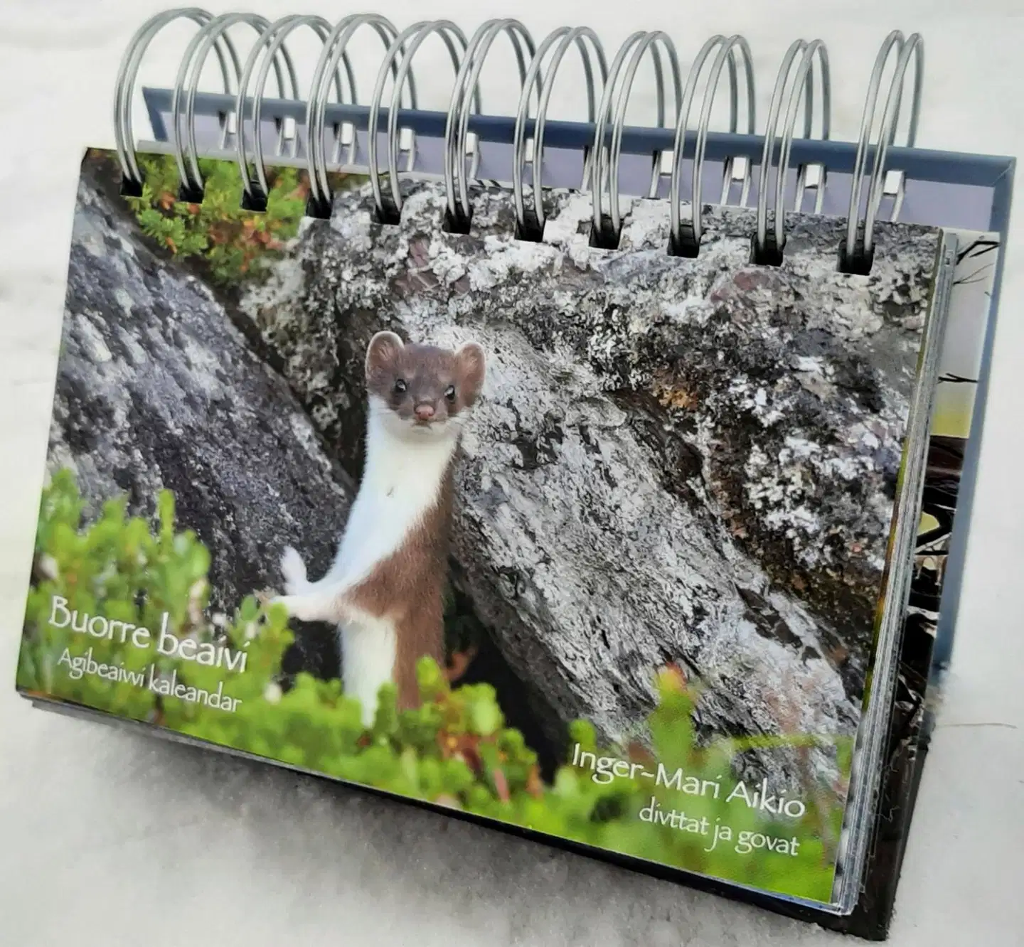 Aikio, Buorre beaivi – Agibeaivvi kaleandar