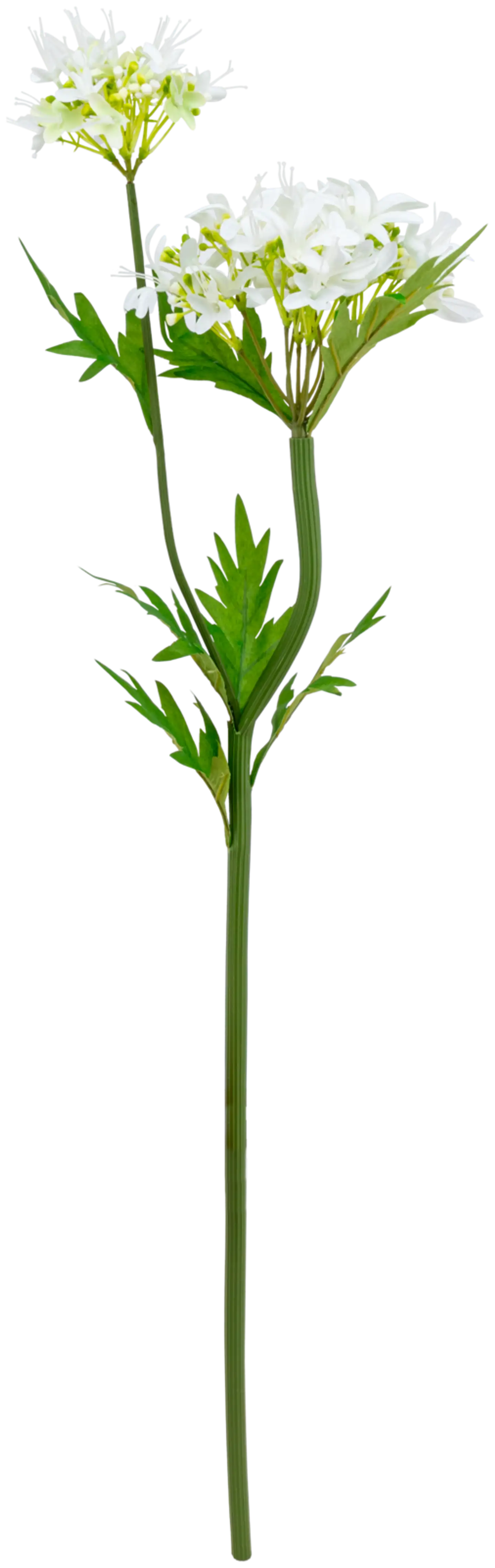 Teko-oksa, erilaisia - 6