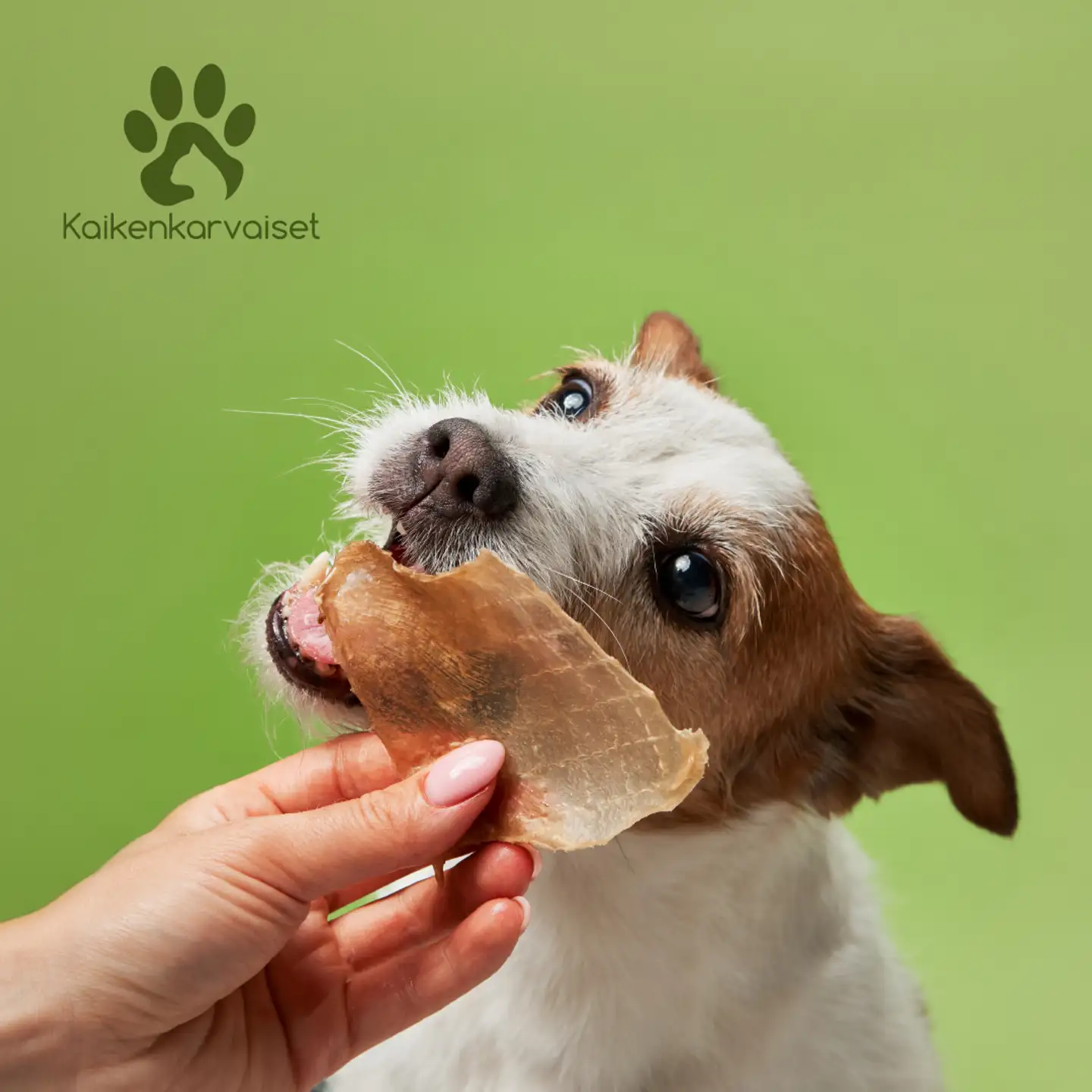 Kaikenkarvaiset Jäniksen korvat 100g - 4