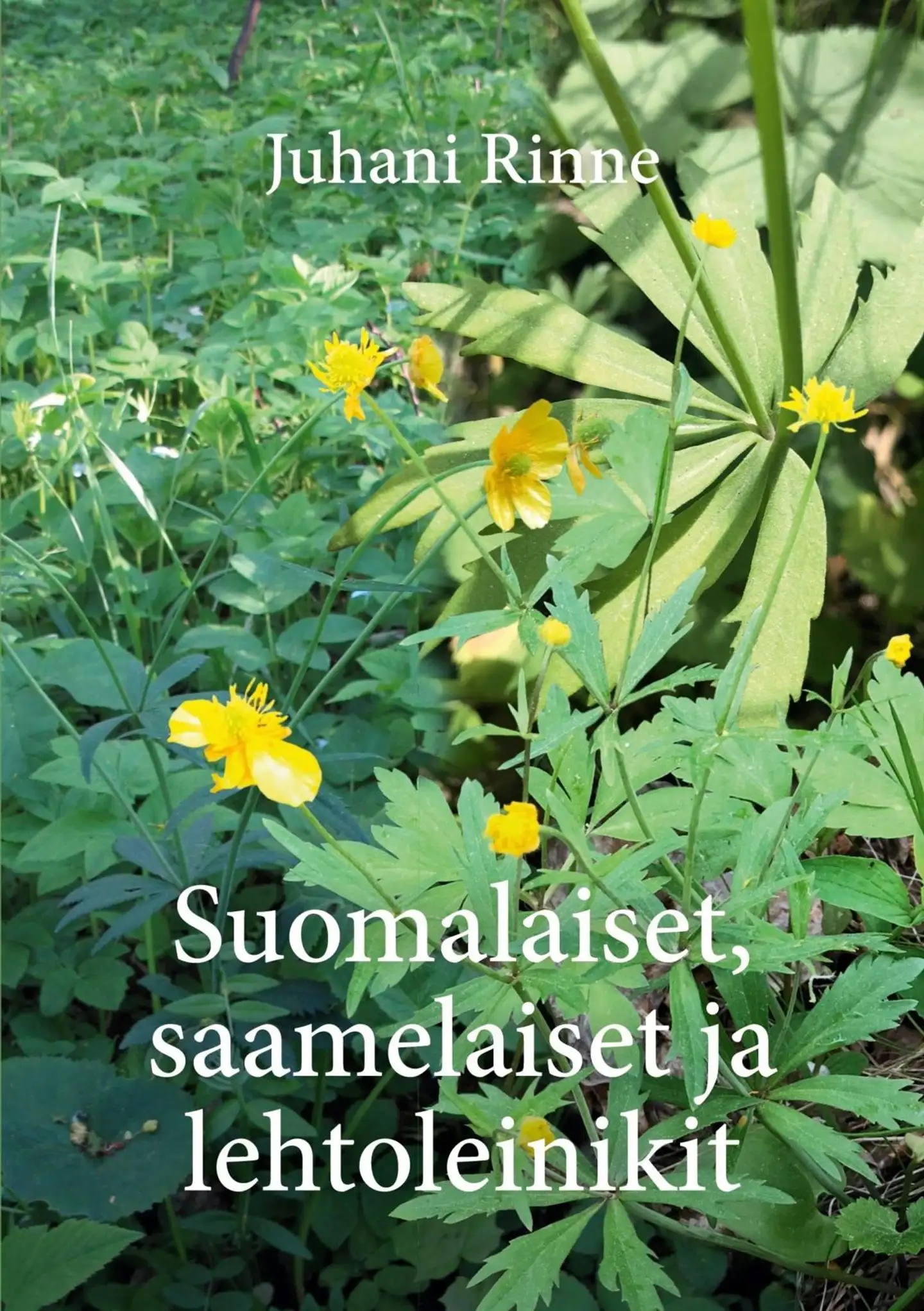 Rinne, Suomalaiset, saamelaiset ja lehtoleinikit
