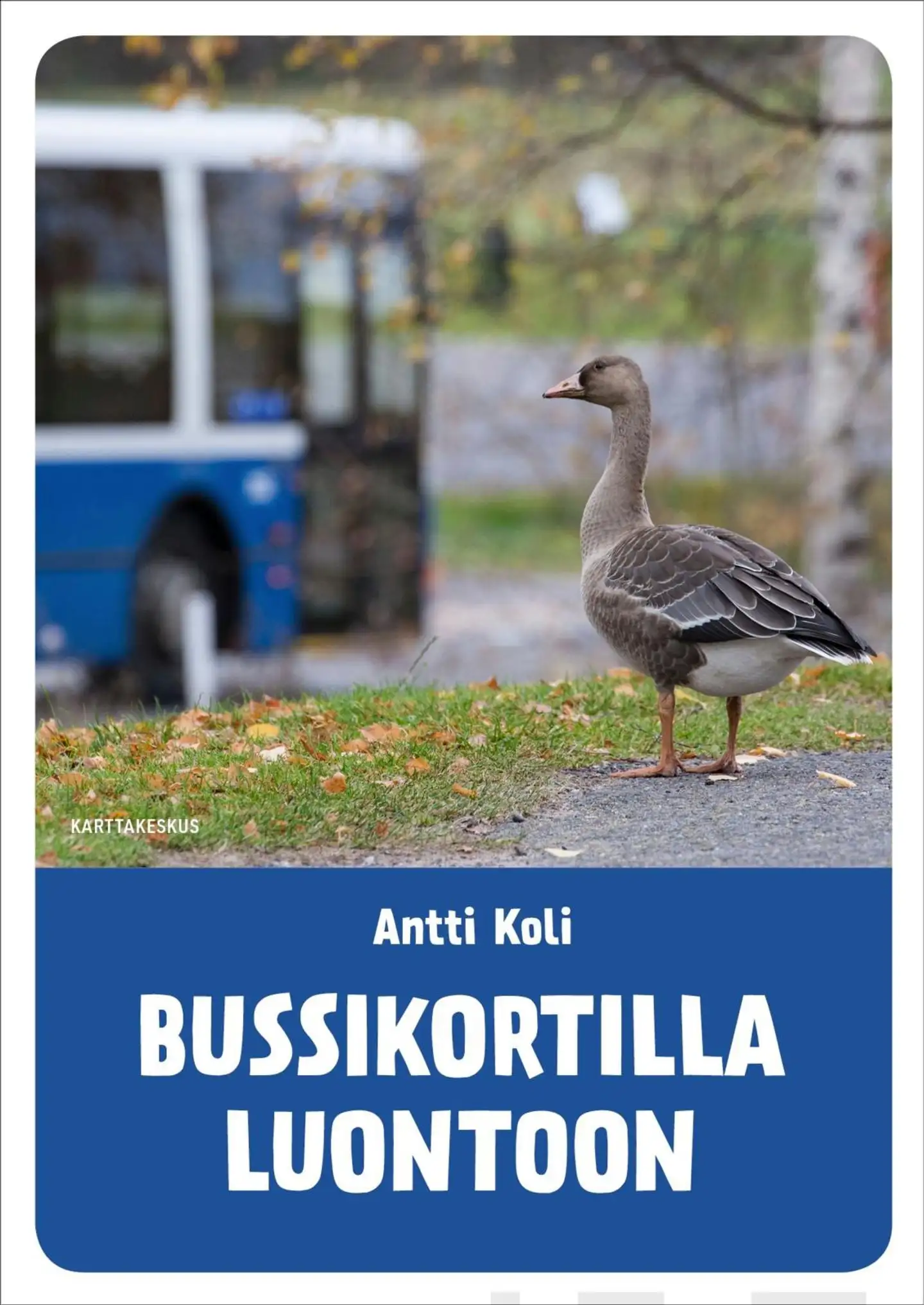 Koli, Bussikortilla luontoon