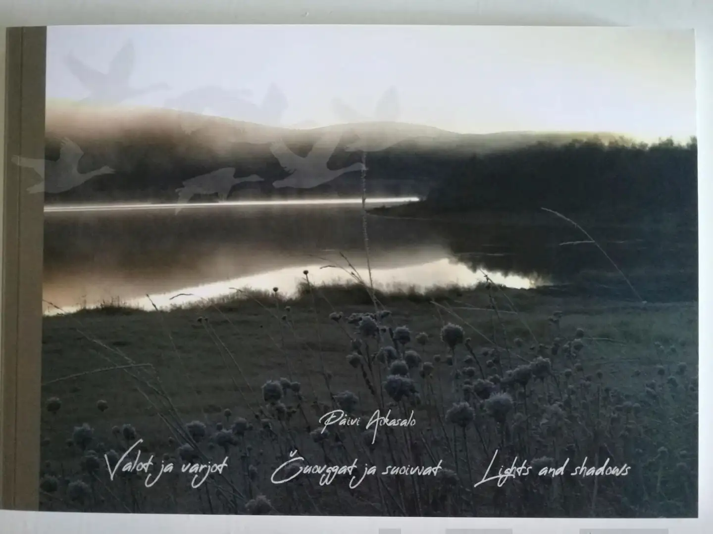 Aikasalo, Valot ja varjot - Čuovggat ja suoivvat - Lights and shadows