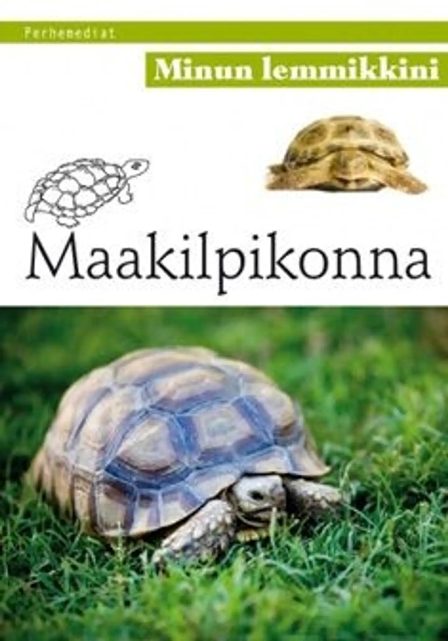 Maakilpikonna