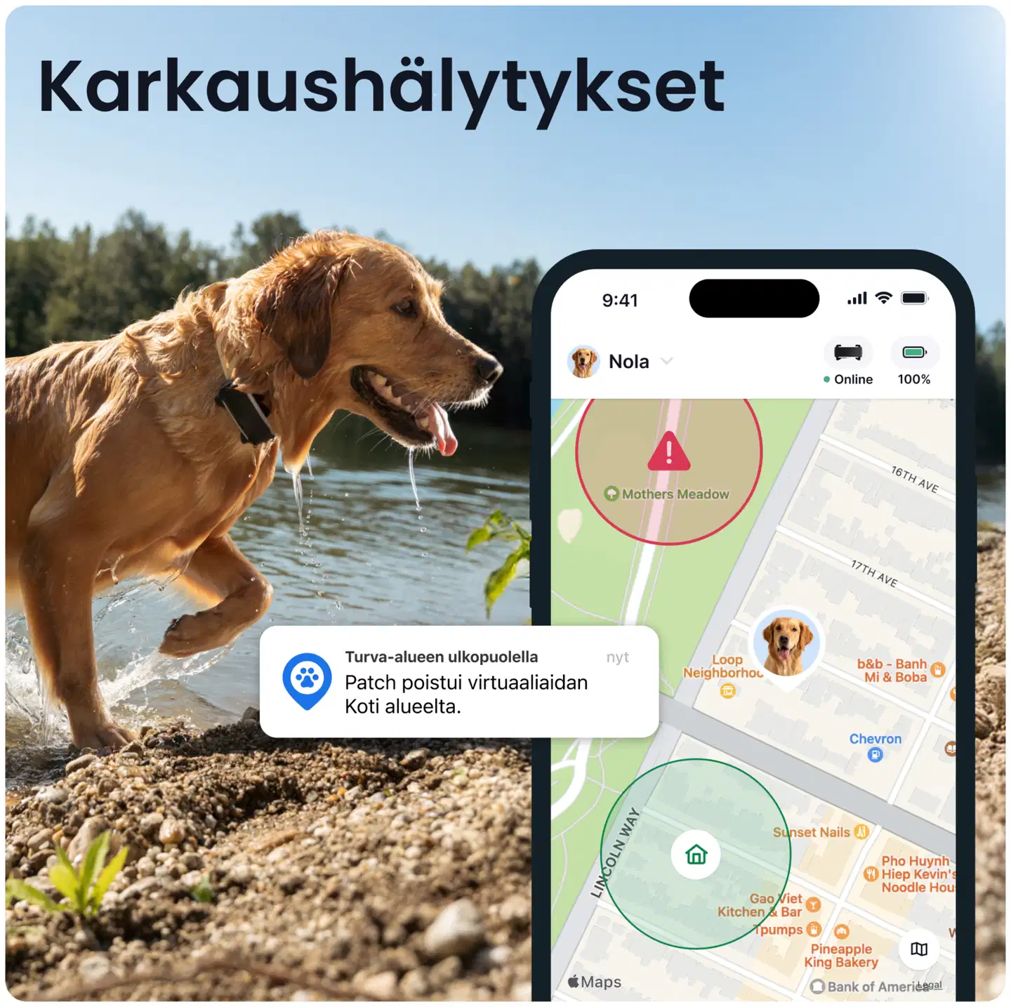 Tractive DOG 6 XL GPS -koiranpanta - 3