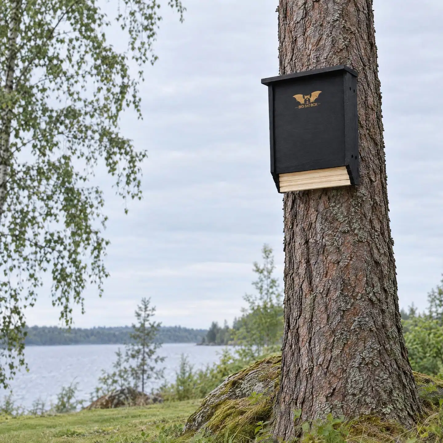 WildYard Big Bat Box lepakkopönttö, 2 kammiota, setripuu, musta - 4