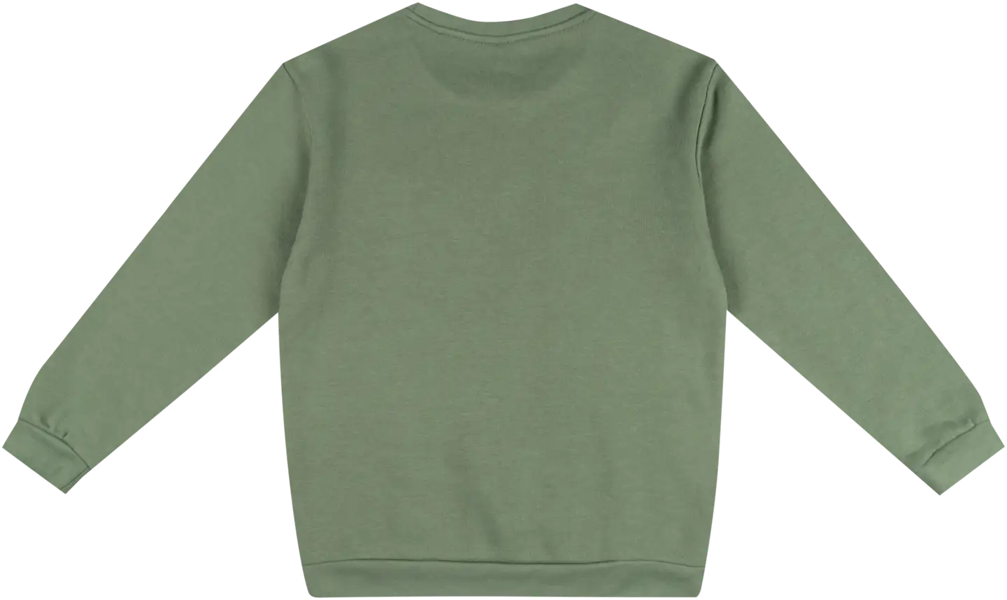 House lasten collegepusero 23PH032603 - Hedge Green - 2