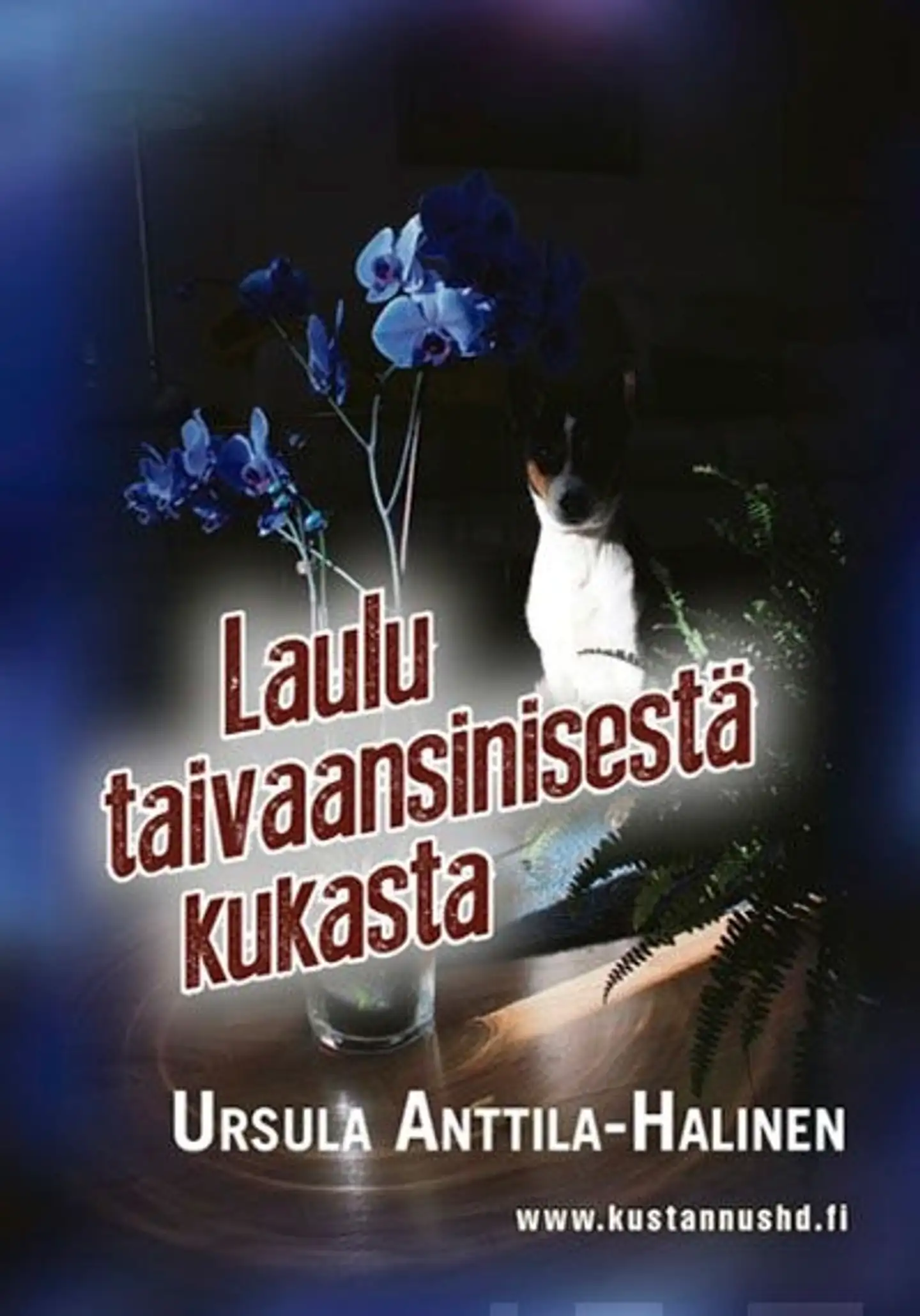 Anttila-Halinen, Laulu taivaansinisestä kukasta