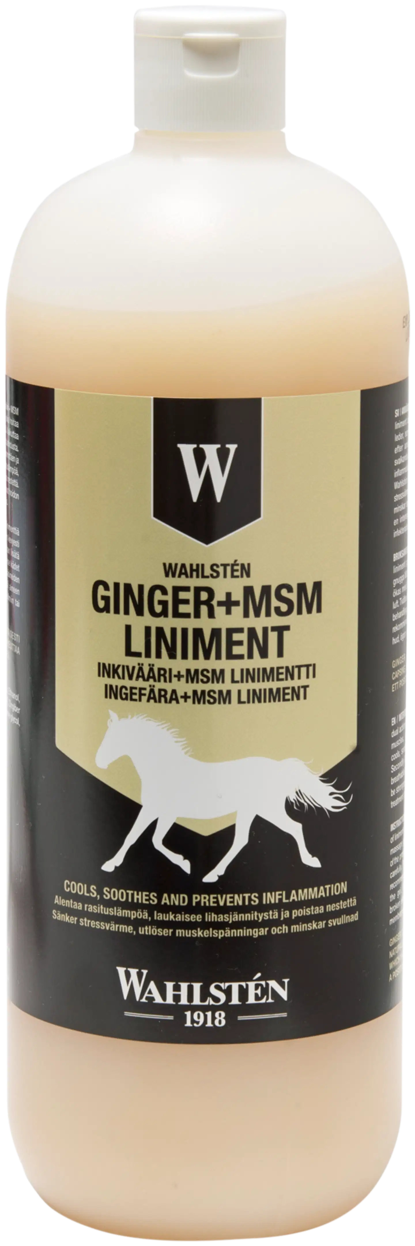 Wahlsten linimentti inkivääri + msm 1l - 1