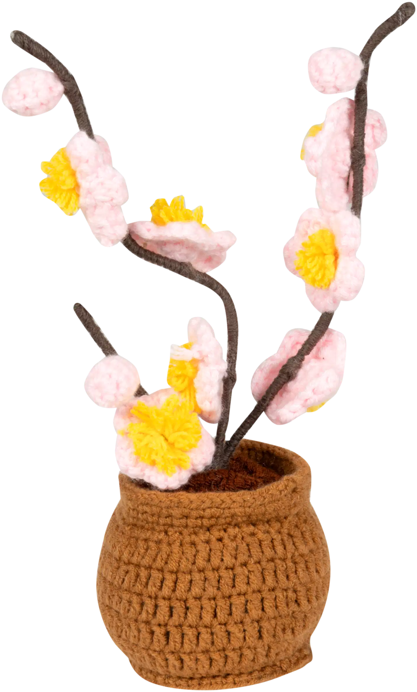 Virkattu orkidea ruukussa