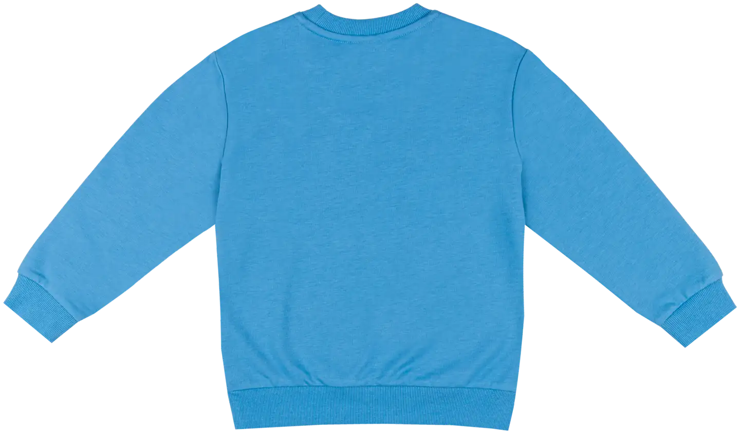 Ciraf lasten collegepusero 25PC254011 - 16-4019tcx forever blue - 2