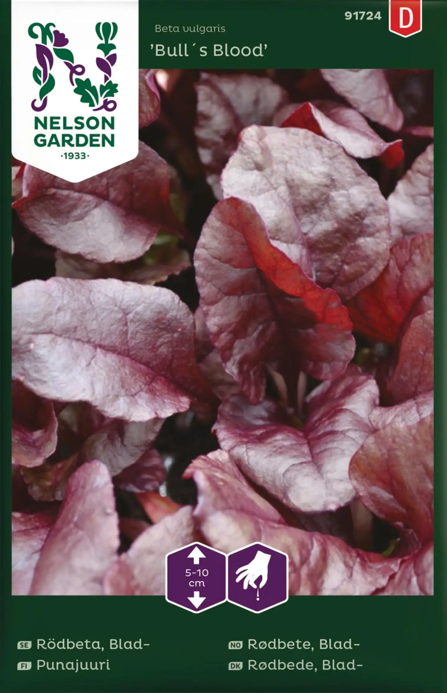 Nelson Garden Punajuuri