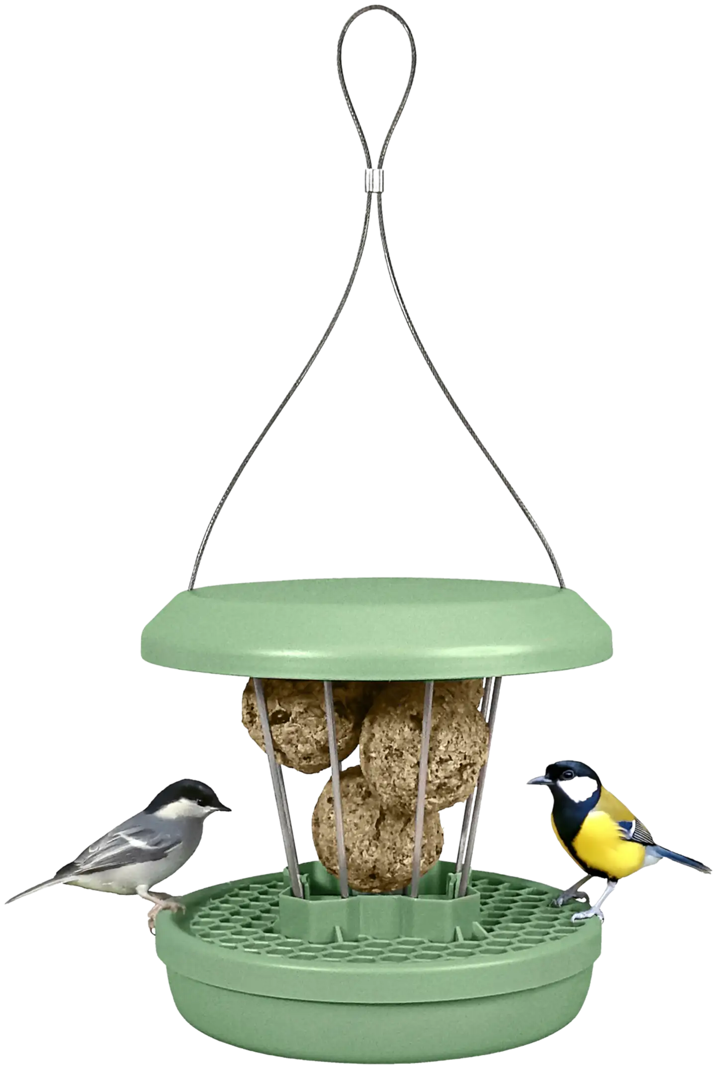 Swissinno Lintulauta Zurich talipalloille - 4