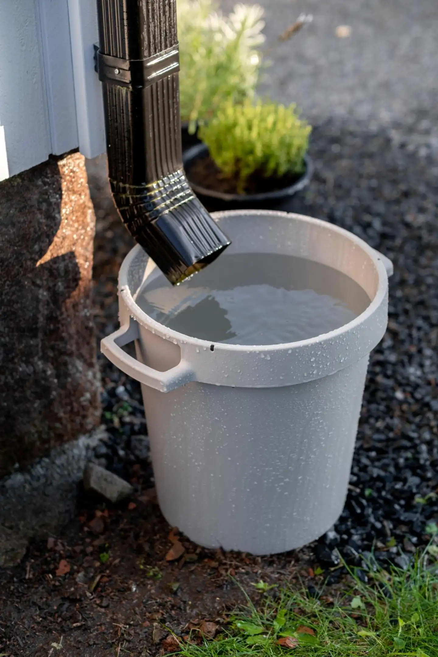 Orthex saavi 30 L - 9