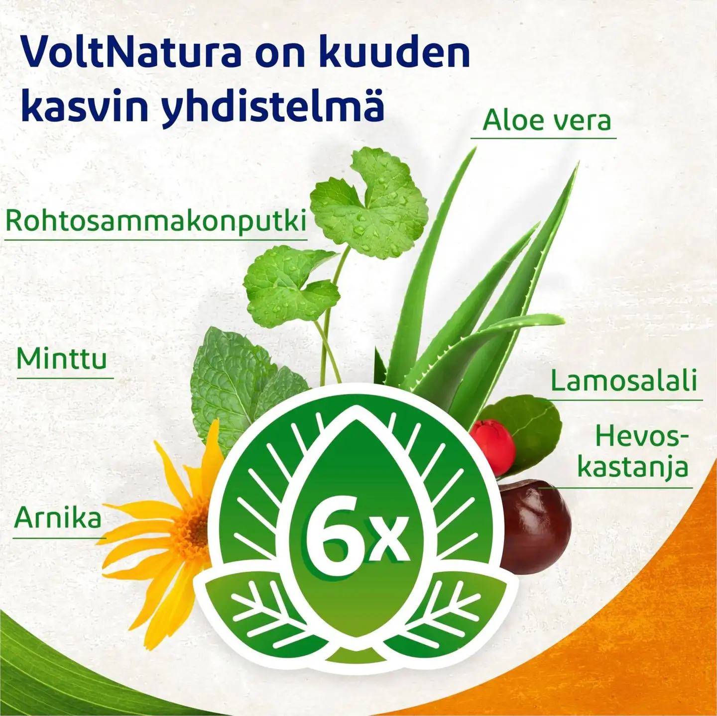 VoltNatura kasvipohjainen geeli rasittuneille lihaksille 50 ml - 3