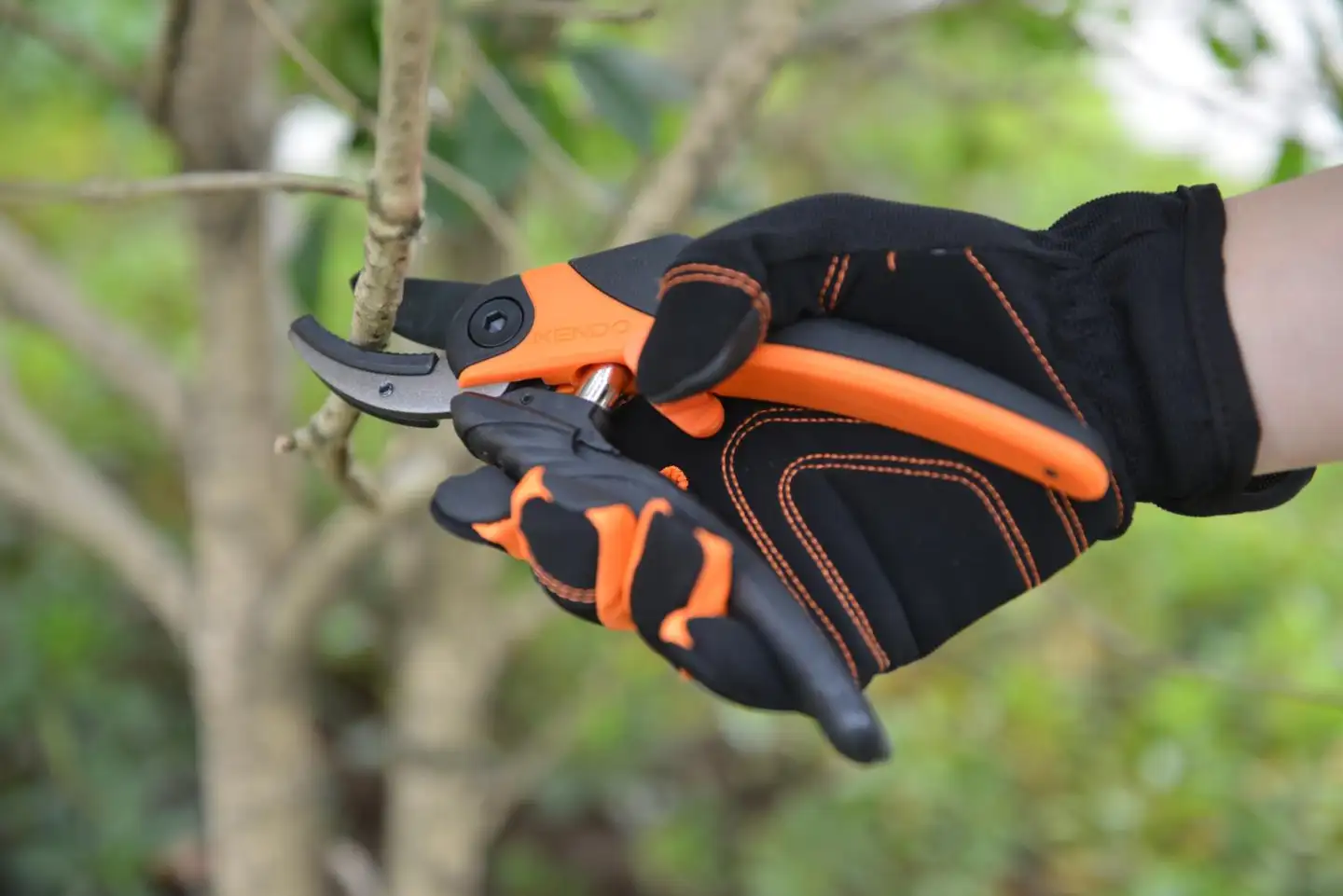 Kendo Aml-oksasakset 8“/200mm - 6