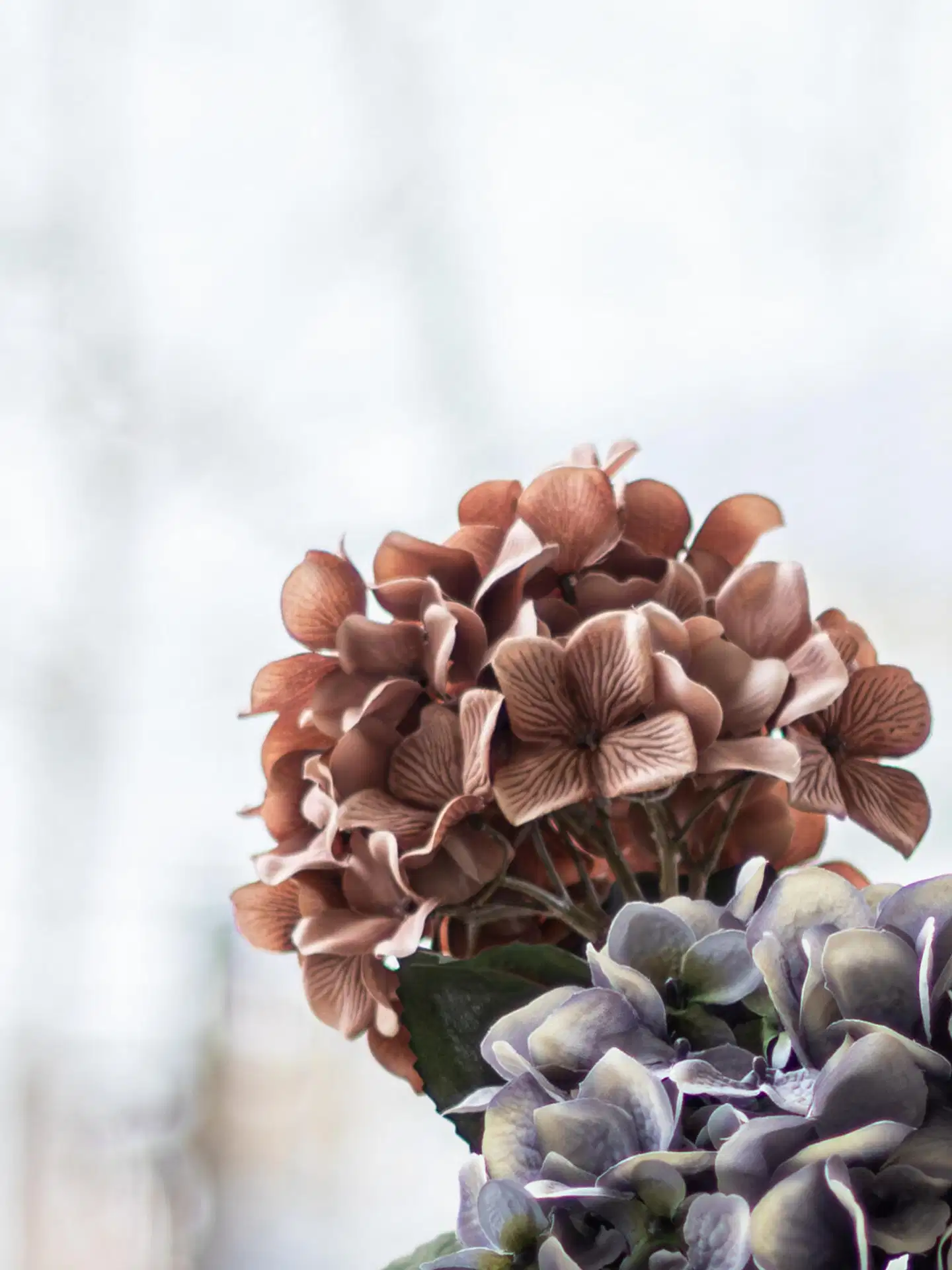 Tekokukka Bloom Deco  Hortensia Oksa - 3