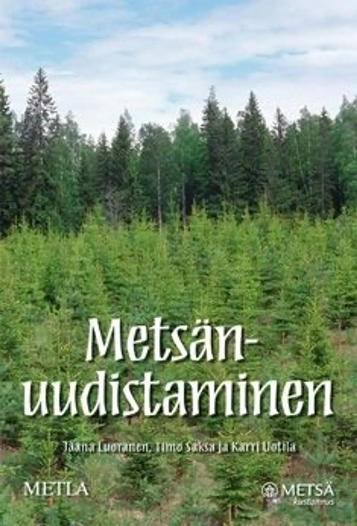 Luoranen, Metsänuudistaminen