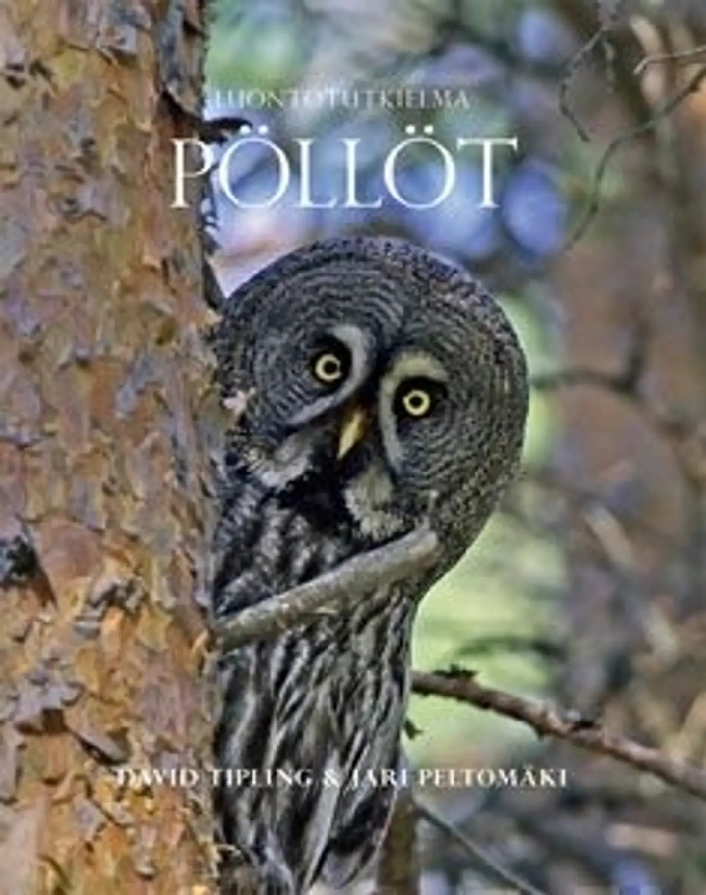 Tipling, Luontotutkielma - Pöllöt