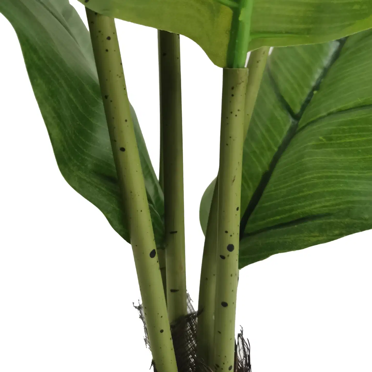 Lykke tekokasvi peace lily 105cm - 3