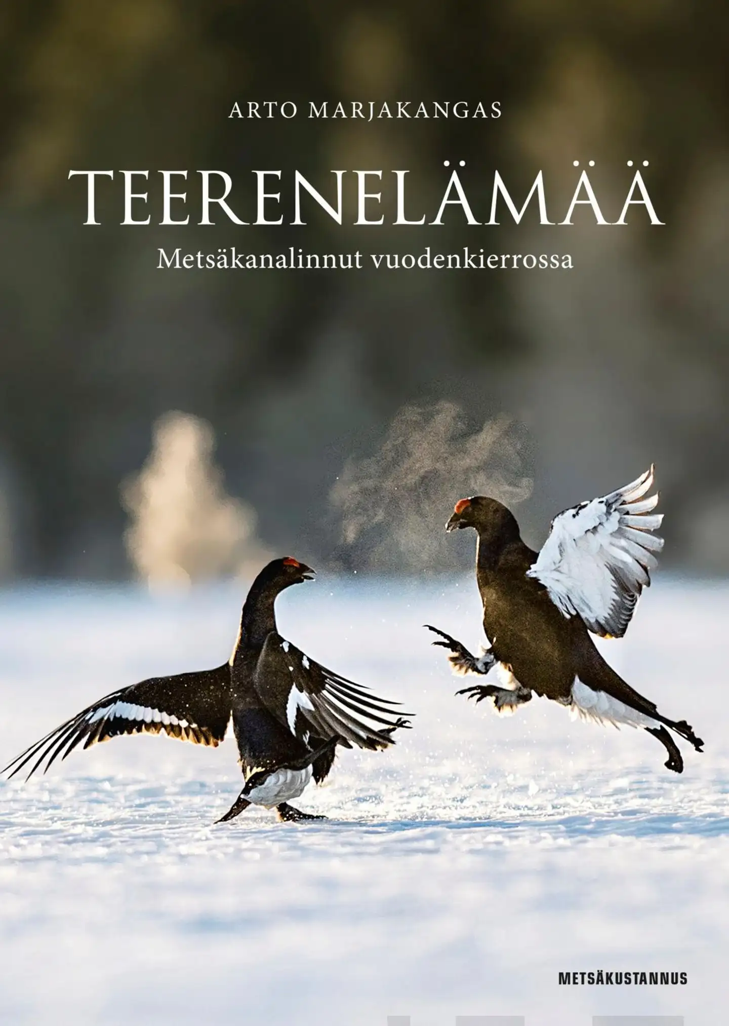 Marjakangas, Teerenelämää - Metsäkanalinnut vuodenkierrossa