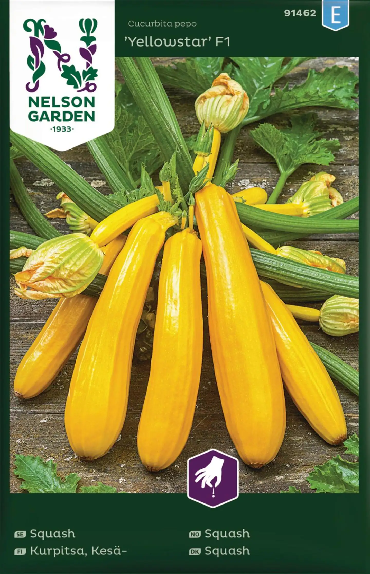 Nelson Garden Kurpitsa, Kesä-, Yellowstar F1