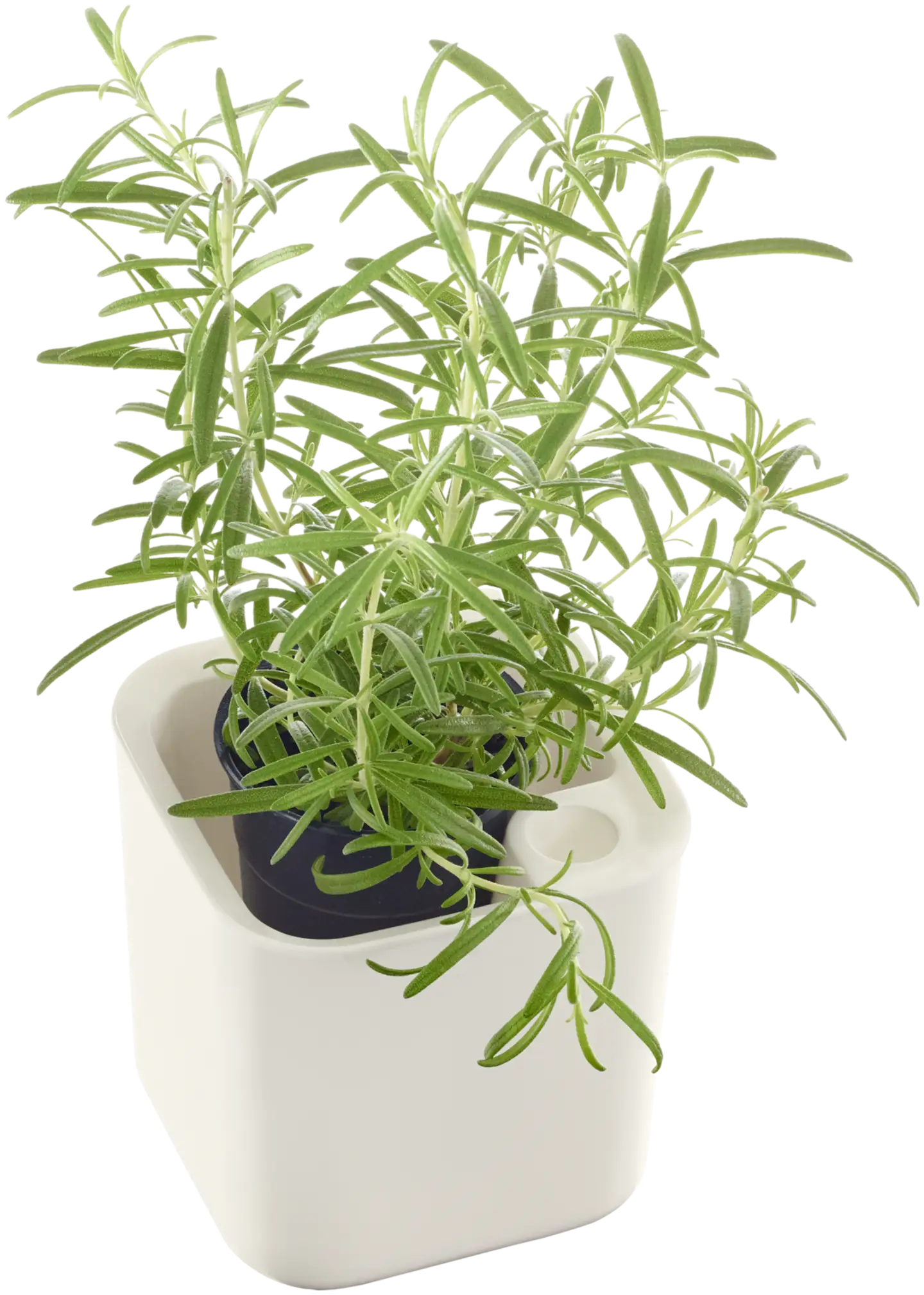 Orthex yrttiruukku Eden Recycled 12x12 cm - 1