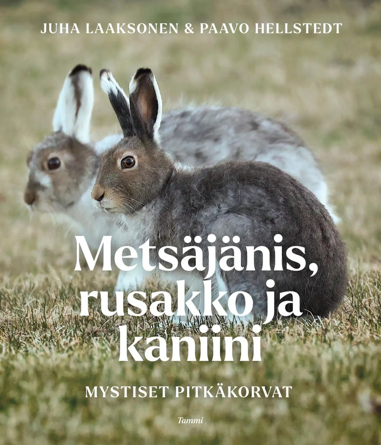Laaksonen, Metsäjänis, rusakko ja kaniini - Mystiset pitkäkorvat