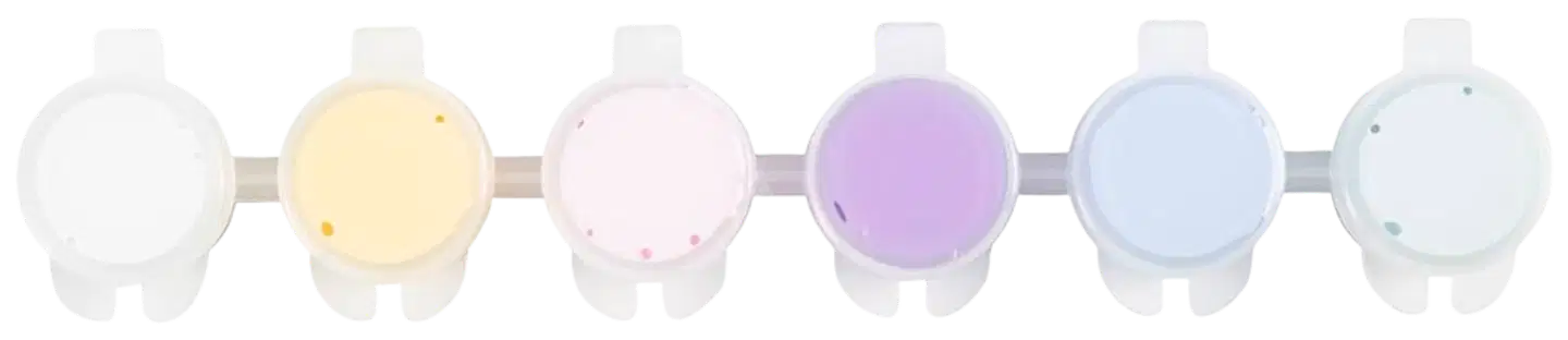 Creativ Company plus color -ask.maali pastelli 6x5ml - 5