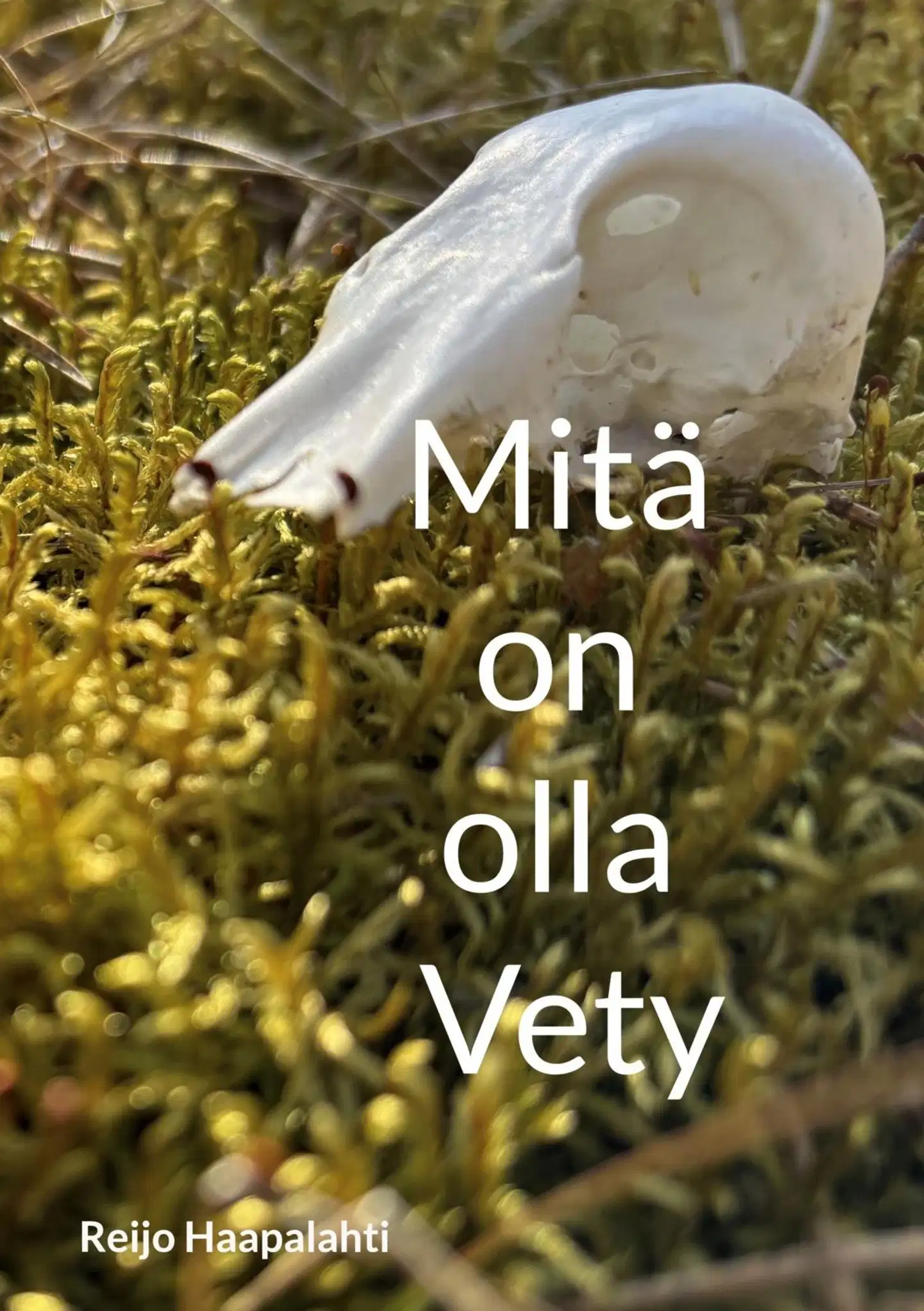 Haapalahti, Mitä on olla Vety - Eli vähän yli sata askelta kohti syvempää tietoisuutta.