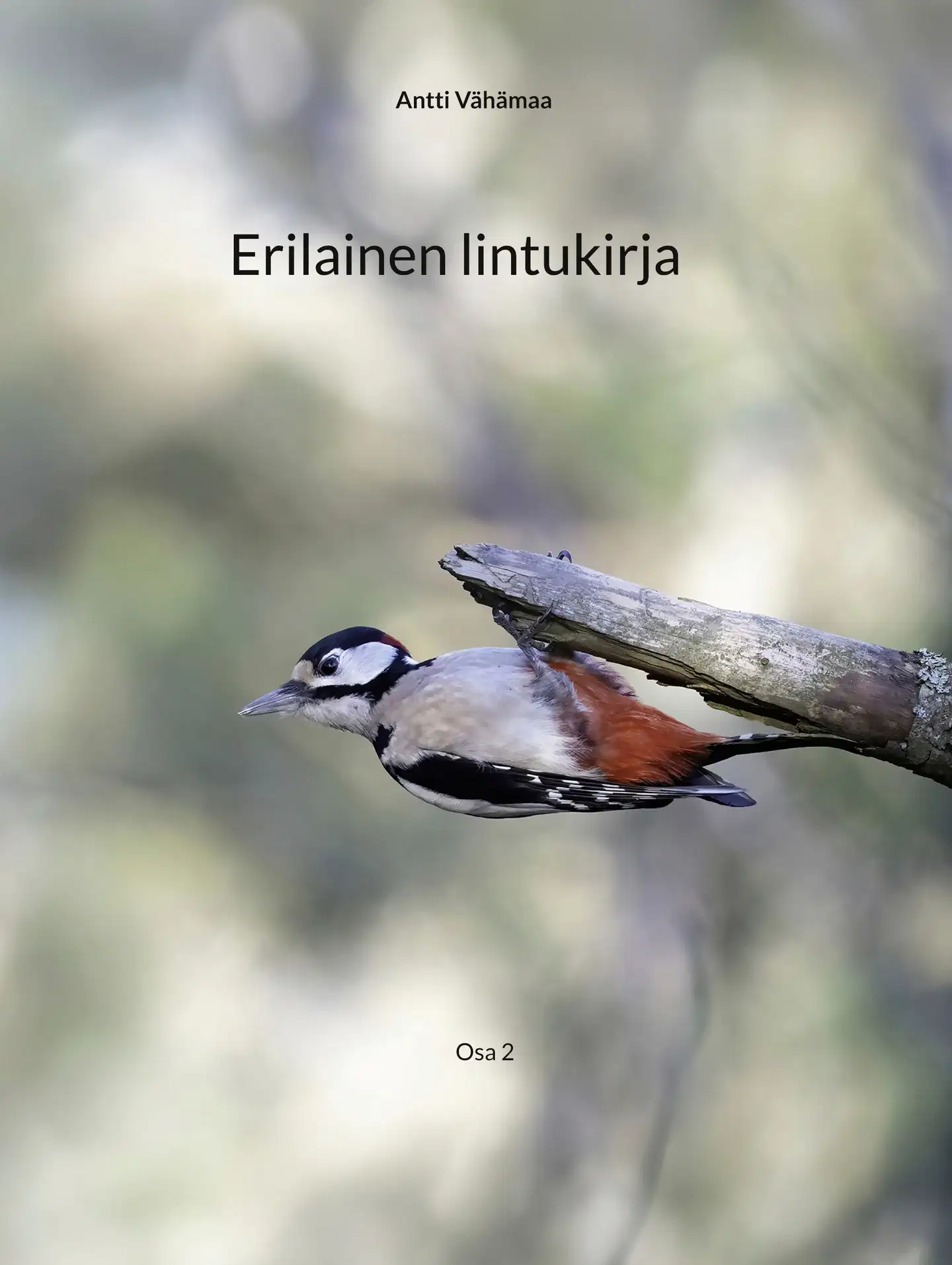 Vähämaa, Erilainen lintukirja - Osa 2