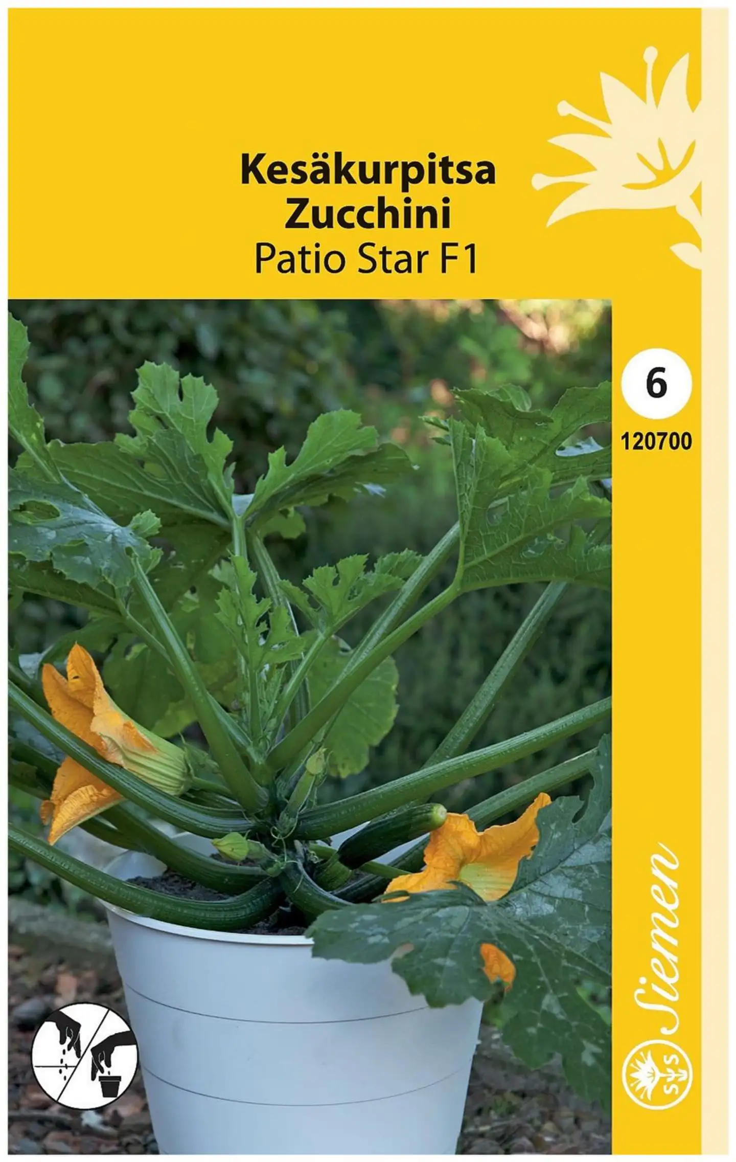 Kesäkurpitsa Patio Star F1