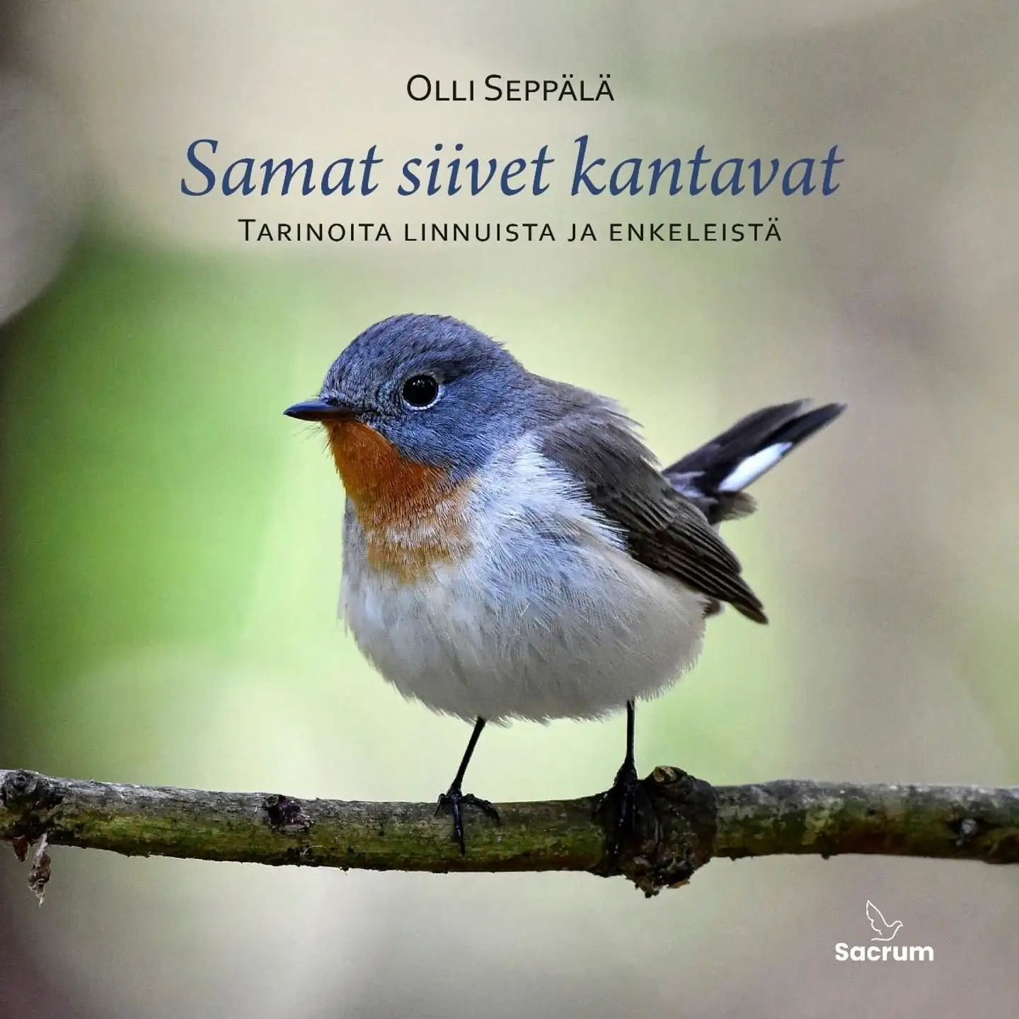 Seppälä, Samat siivet kantavat - Tarinoita linnuista ja enkeleistä