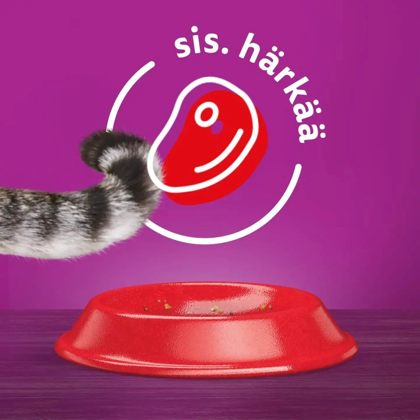 Whiskas 1+ sis. Härkää (3,8 kg) - 3