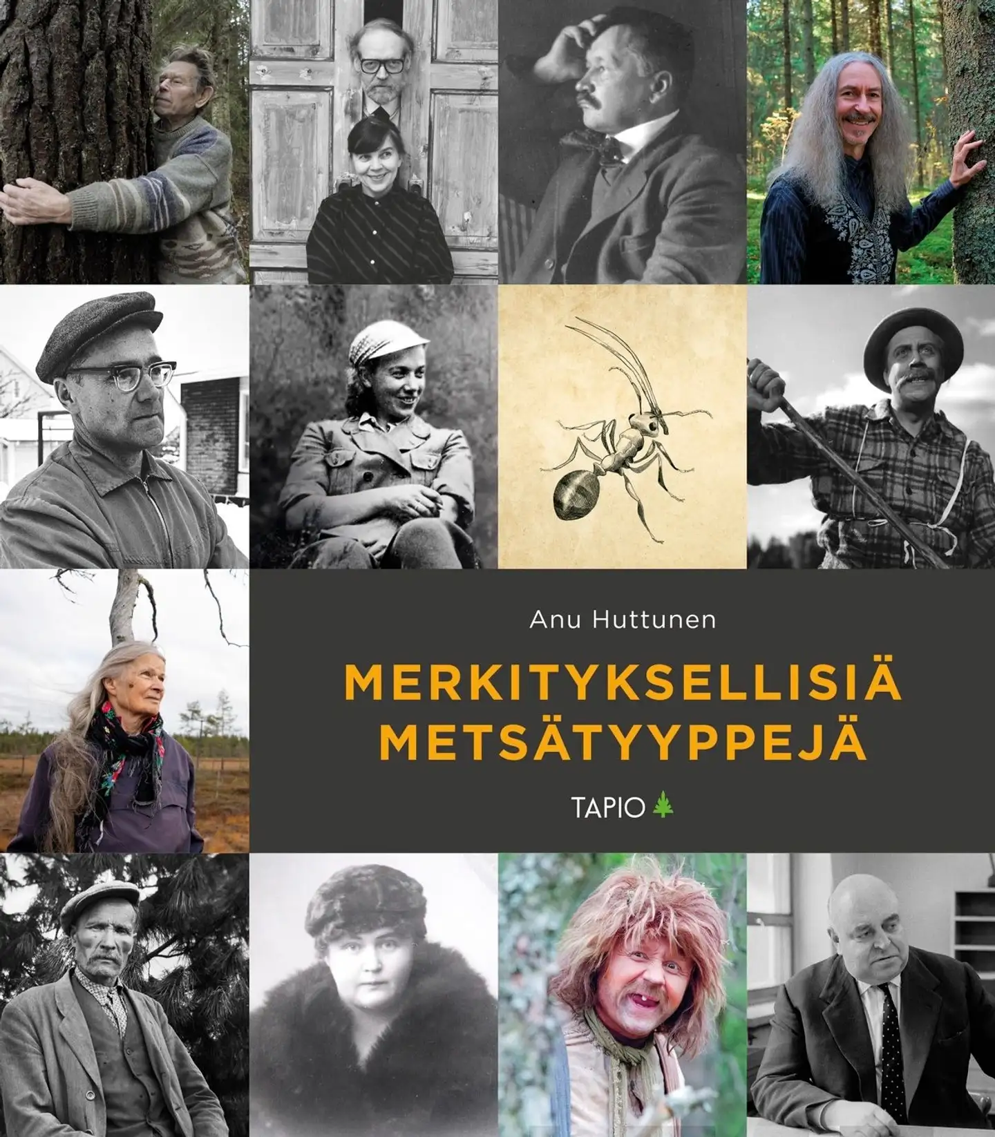 Huttunen, Merkityksellisiä metsätyyppejä