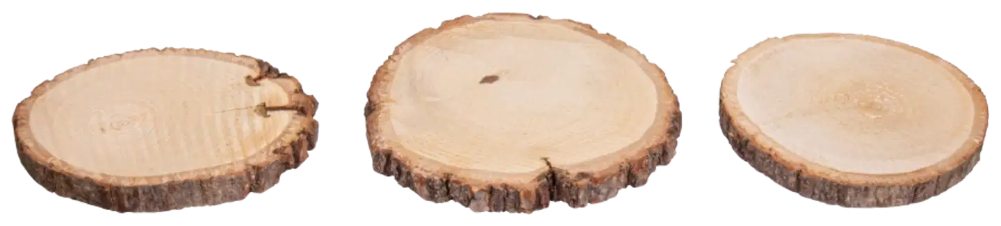 Rayher Hobby puinen levy pyöreä, 10-12cm ø, nippu 3kpl - 1