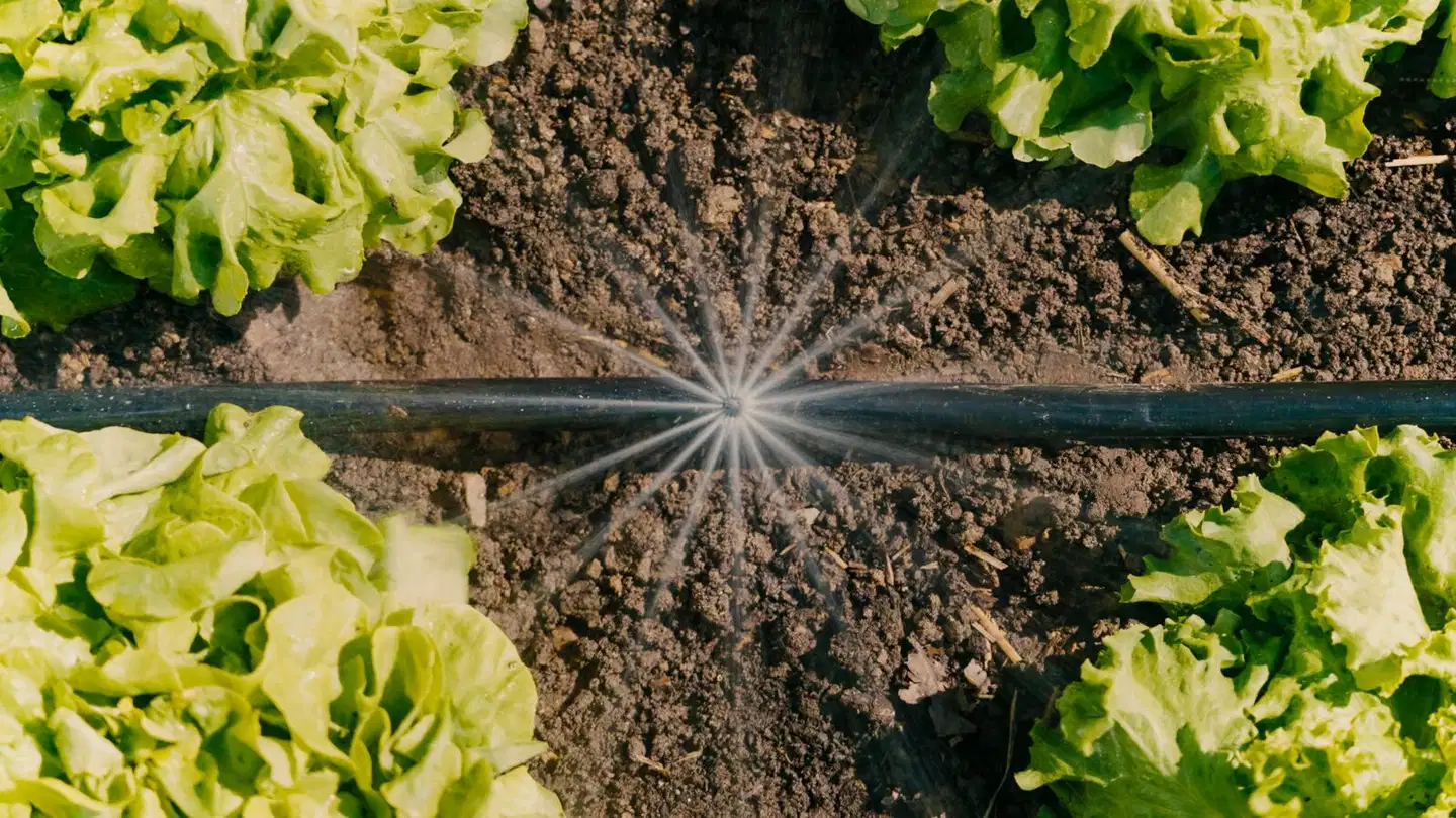 Gardena Micro-Drip-kastelusarja istutusalueelle - 6