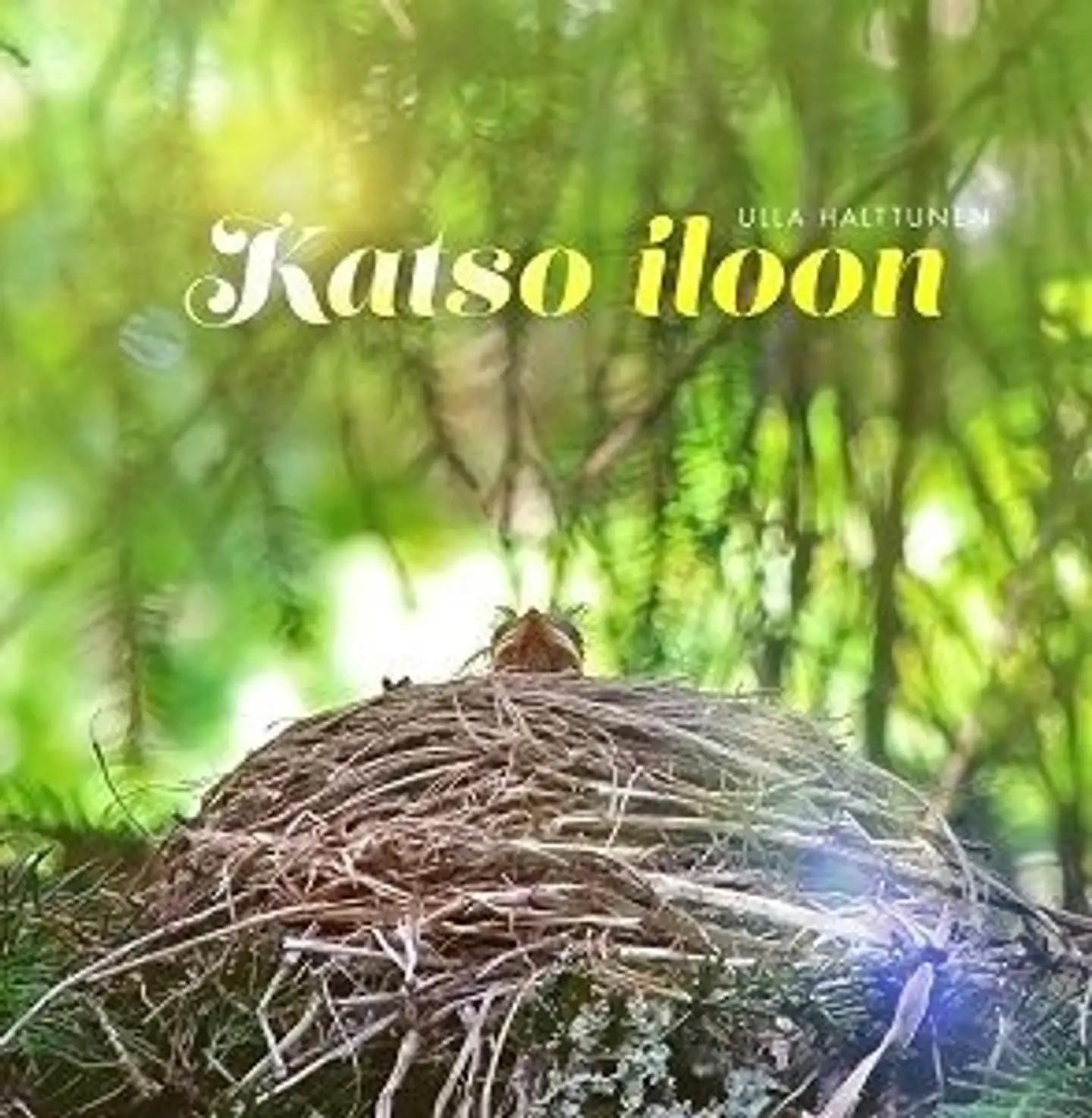 Halttunen, Katso iloon