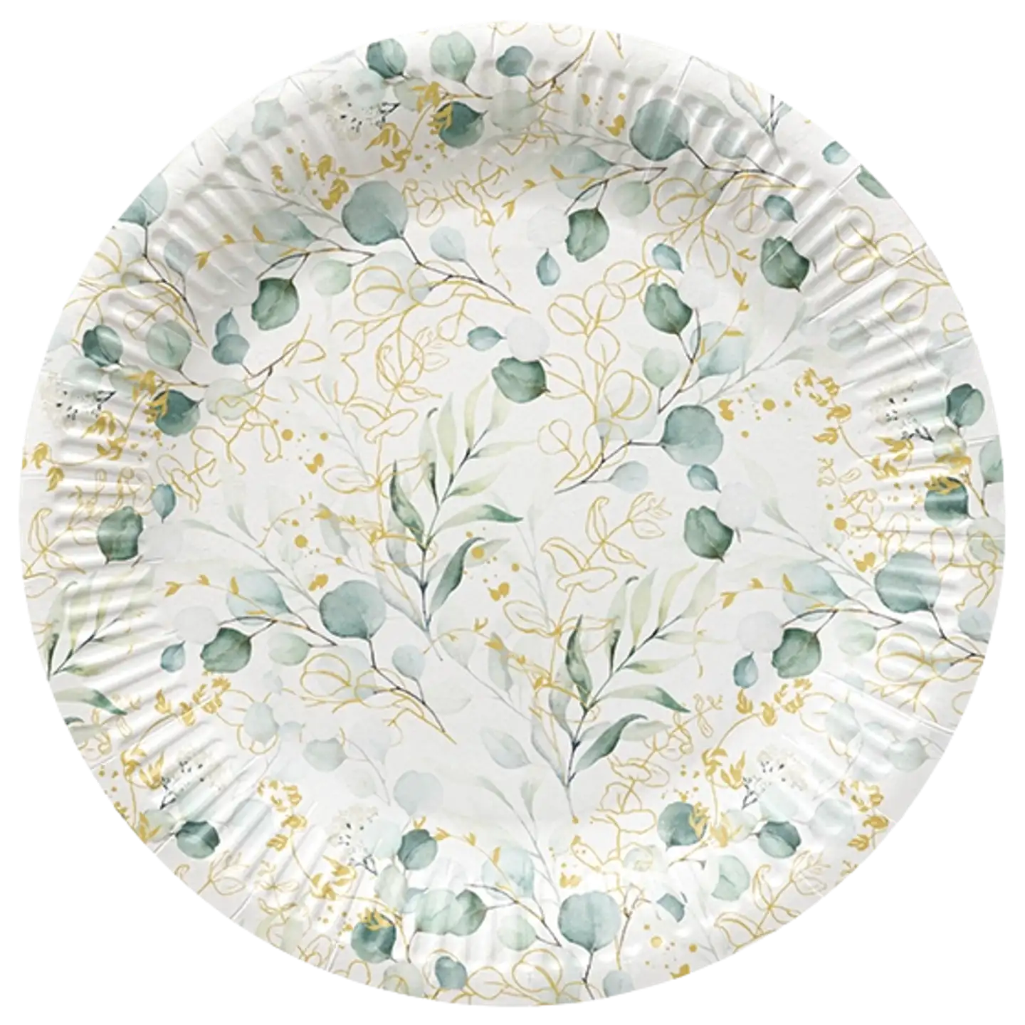 Suuri pahvilautanen eukalyptus 8 kpl/pkt