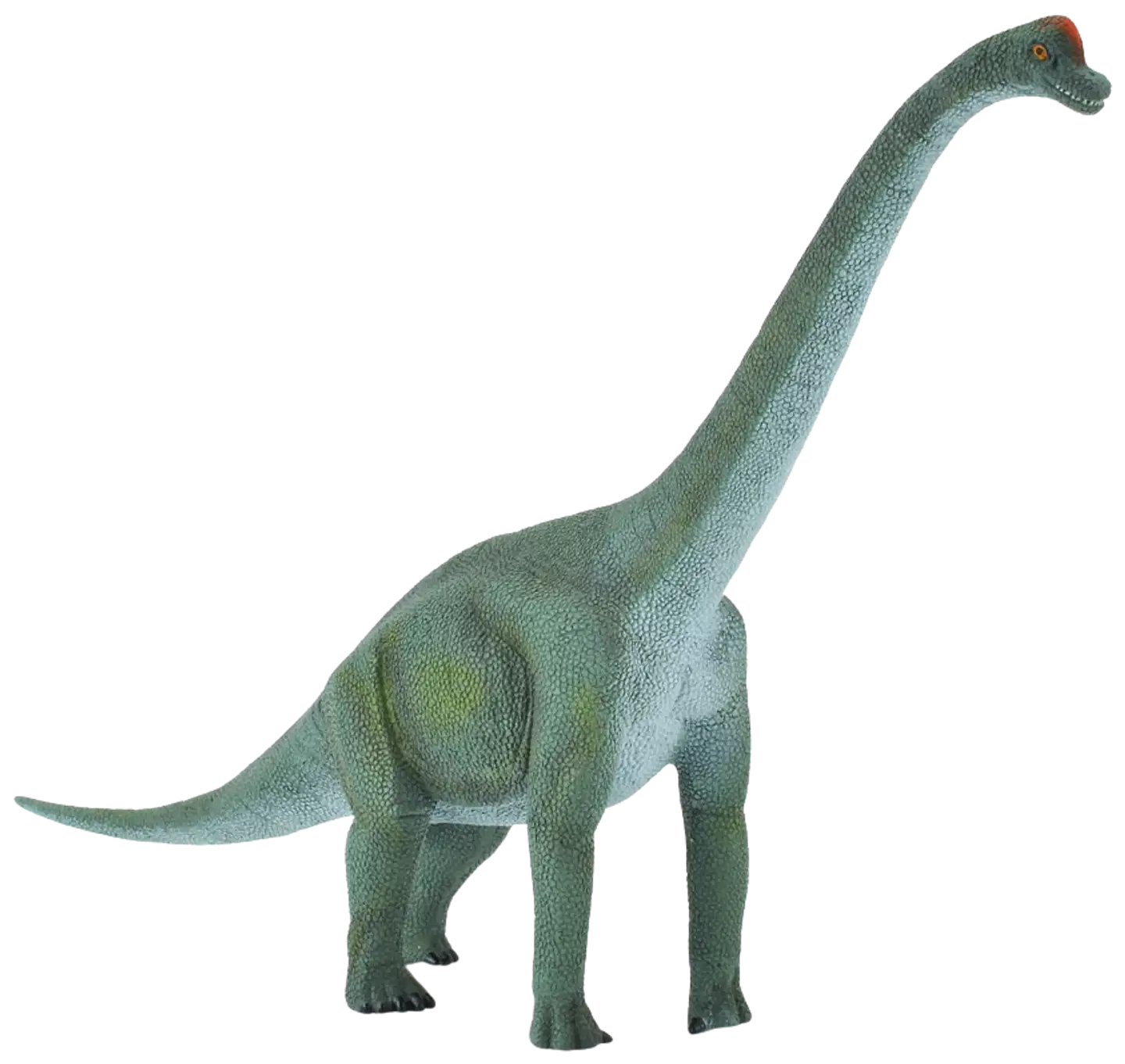 CollectA lelu Brachiosaurus L