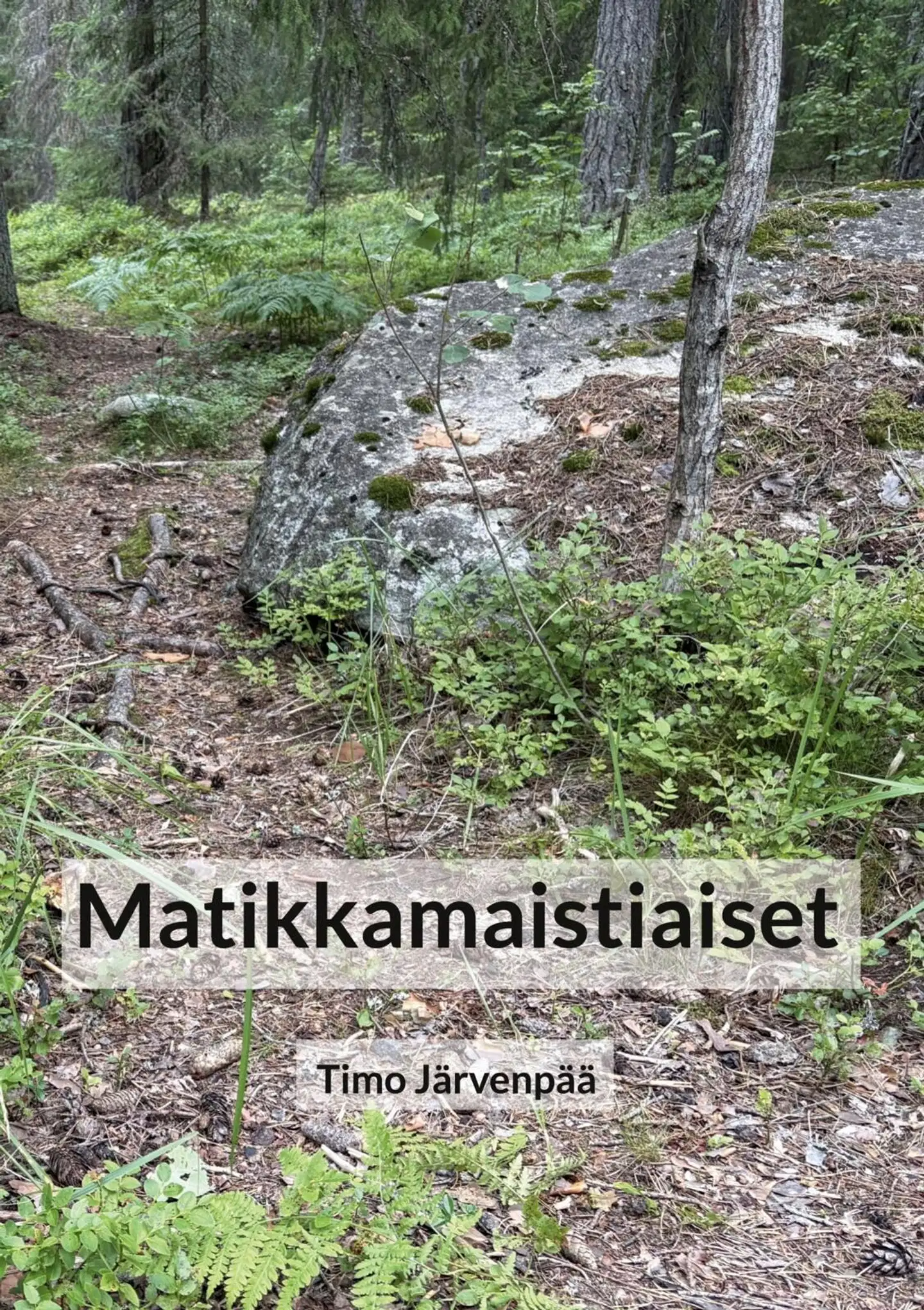 Järvenpää, Matikkamaistiaiset